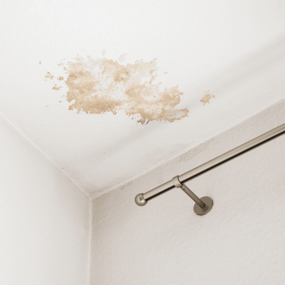 Explaining the Role of Home Ventilation in Mold Prevention