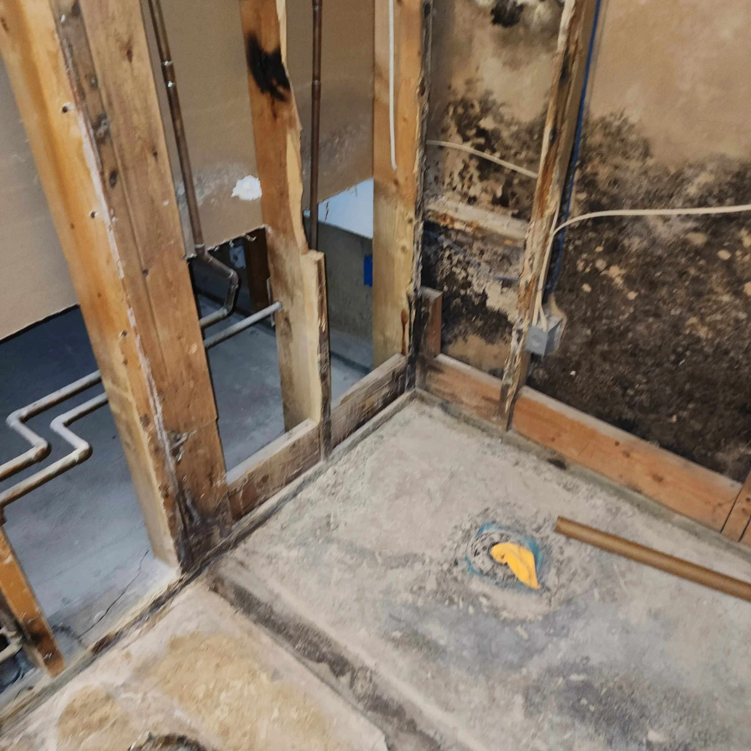 water damage insurance claim in Arizona