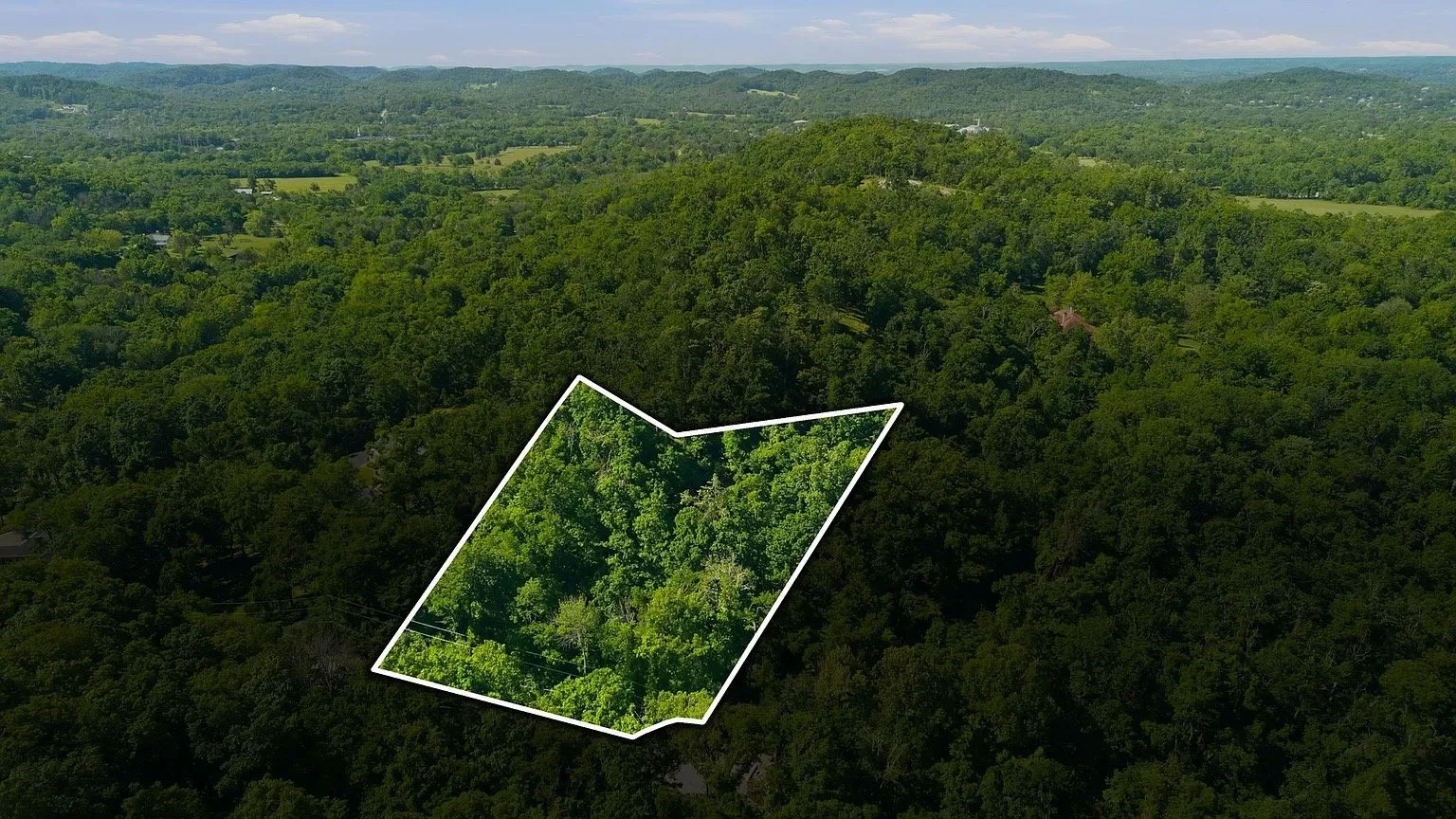 Courtney Jenrath, Fridrich & Clark Realty