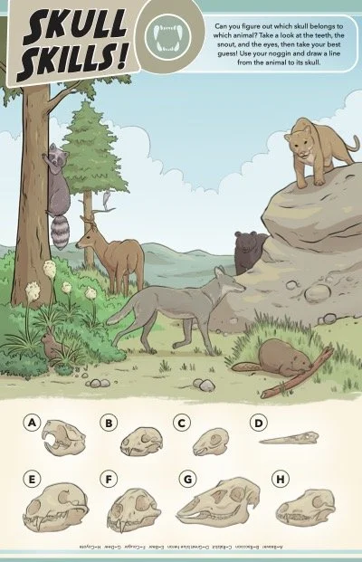 layout Activity Comic_pg5.jpg