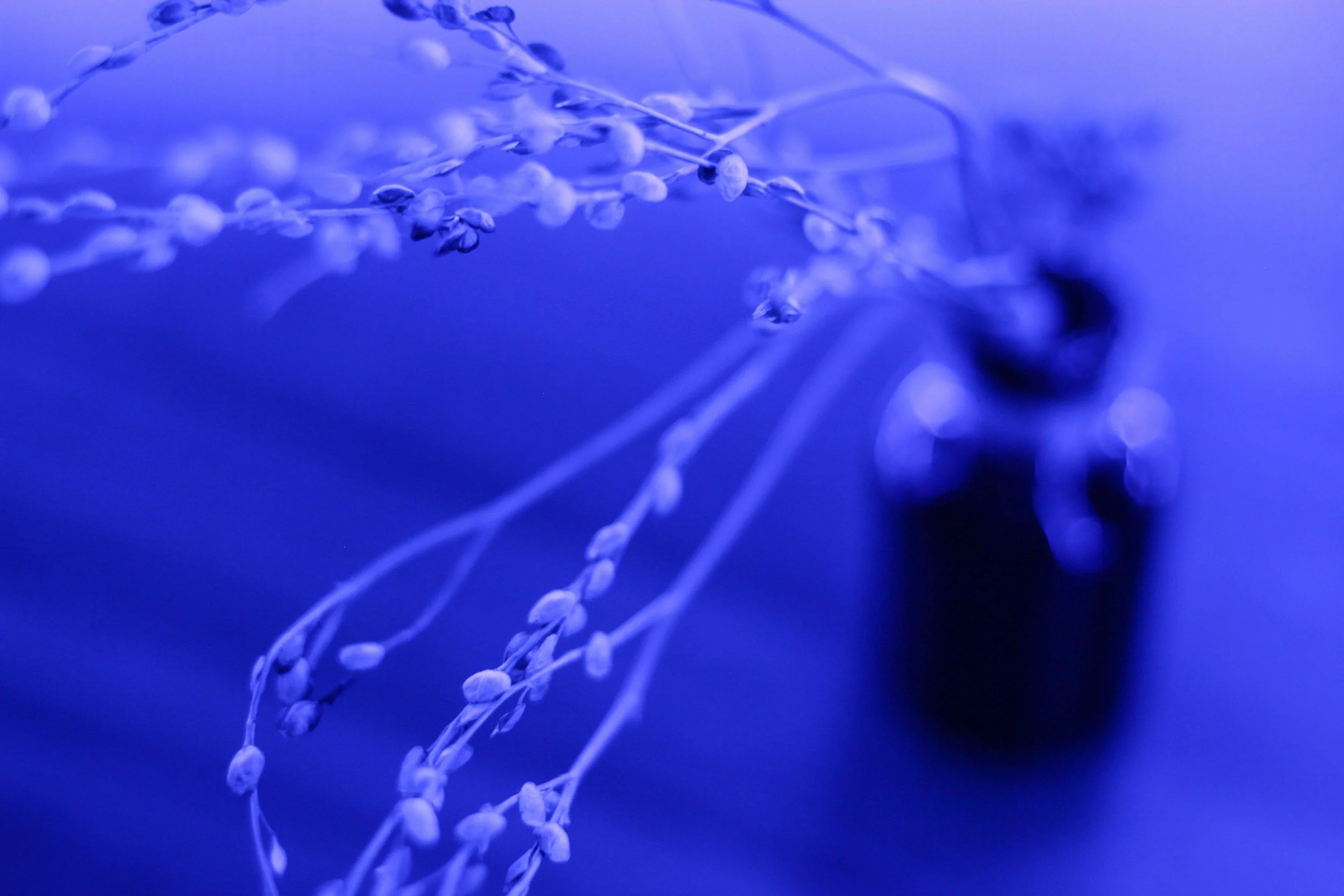AI-Free Personalization Outperforms Generative Creative Every Time