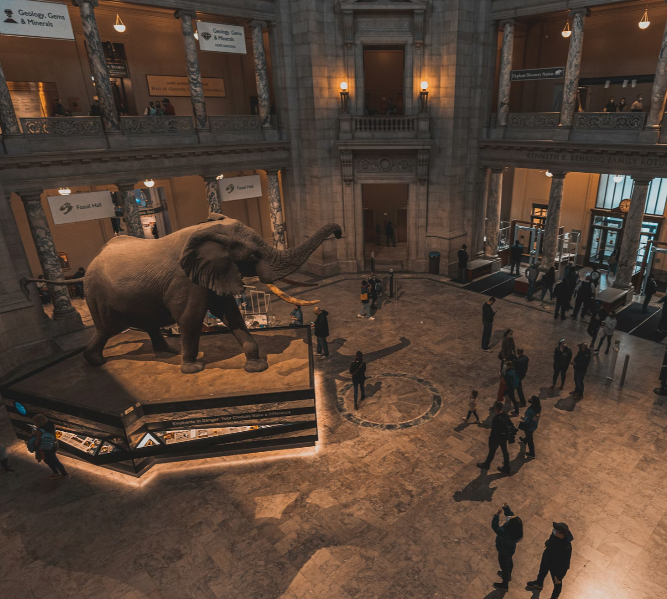 Smithsonian Innovation & Organizational Strategy