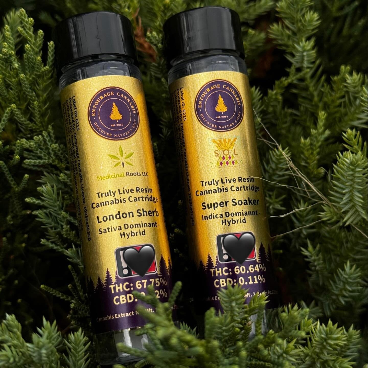 Come find the award-winning excellence of @entourageoregon at our store! 🏆✨ With 17 trophies to their name, this family-owned business prioritizes quality over quantity, ensuring each product is clean and packed with the natural medicinal benefits o