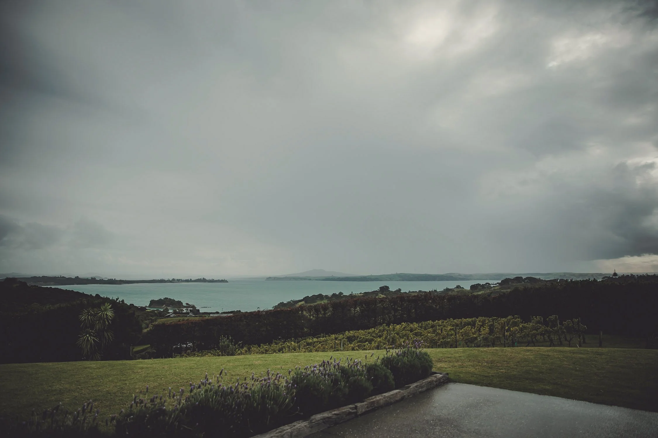 Waihekeisland-Palmbeach-auckland-weddings-58.jpg