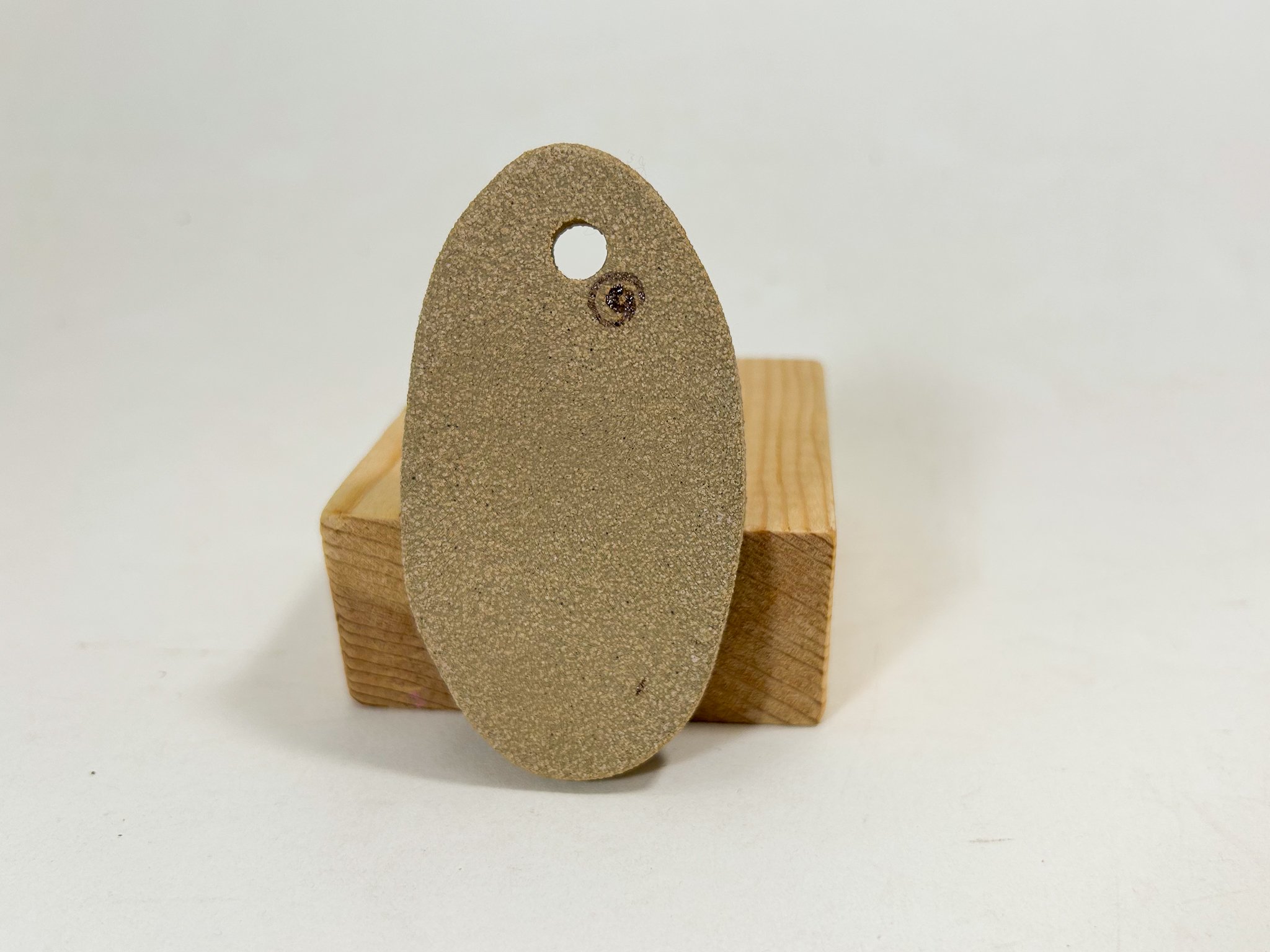 1 Worm Medallion-1.jpg