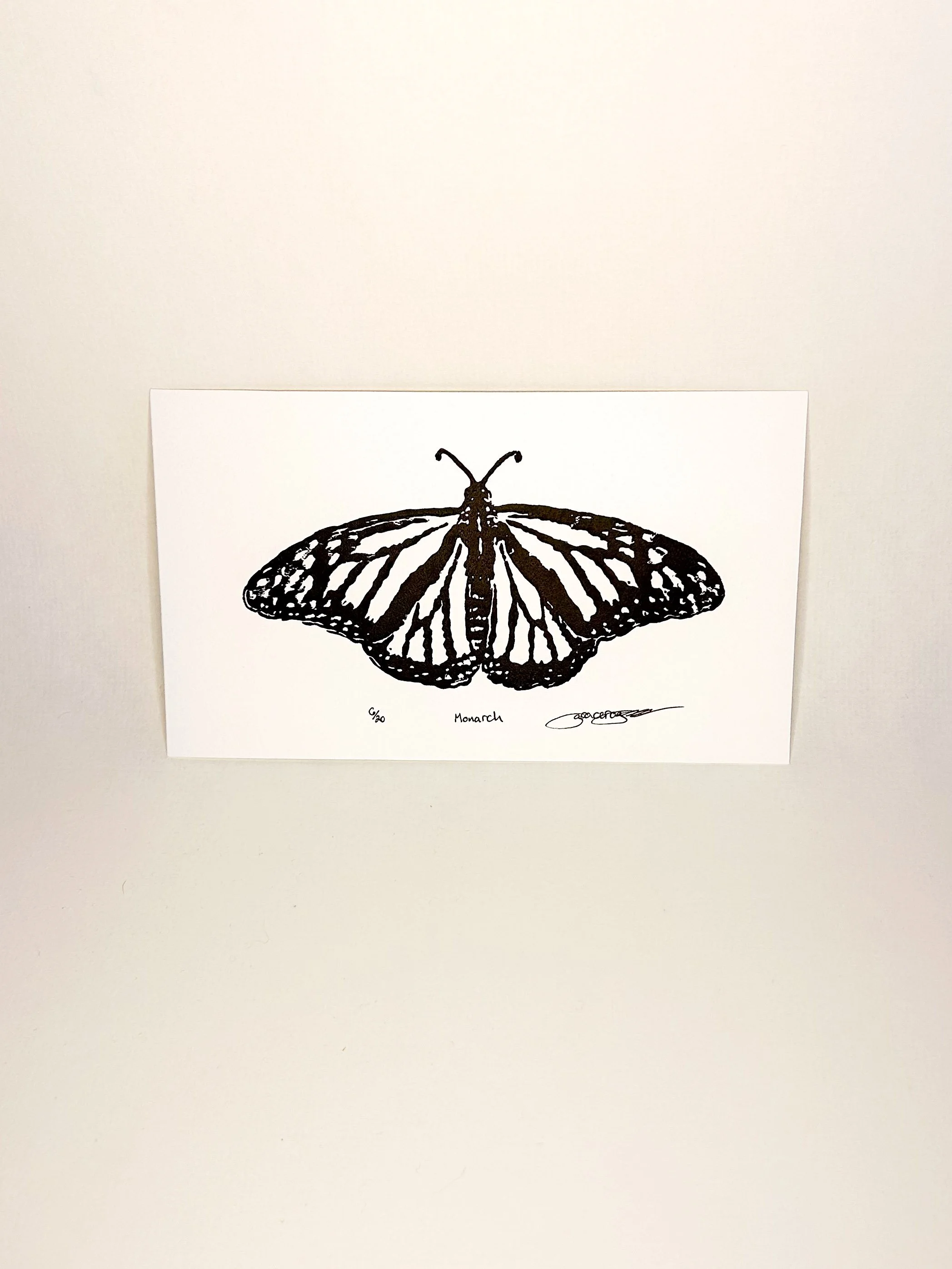 Monarch_6.jpg