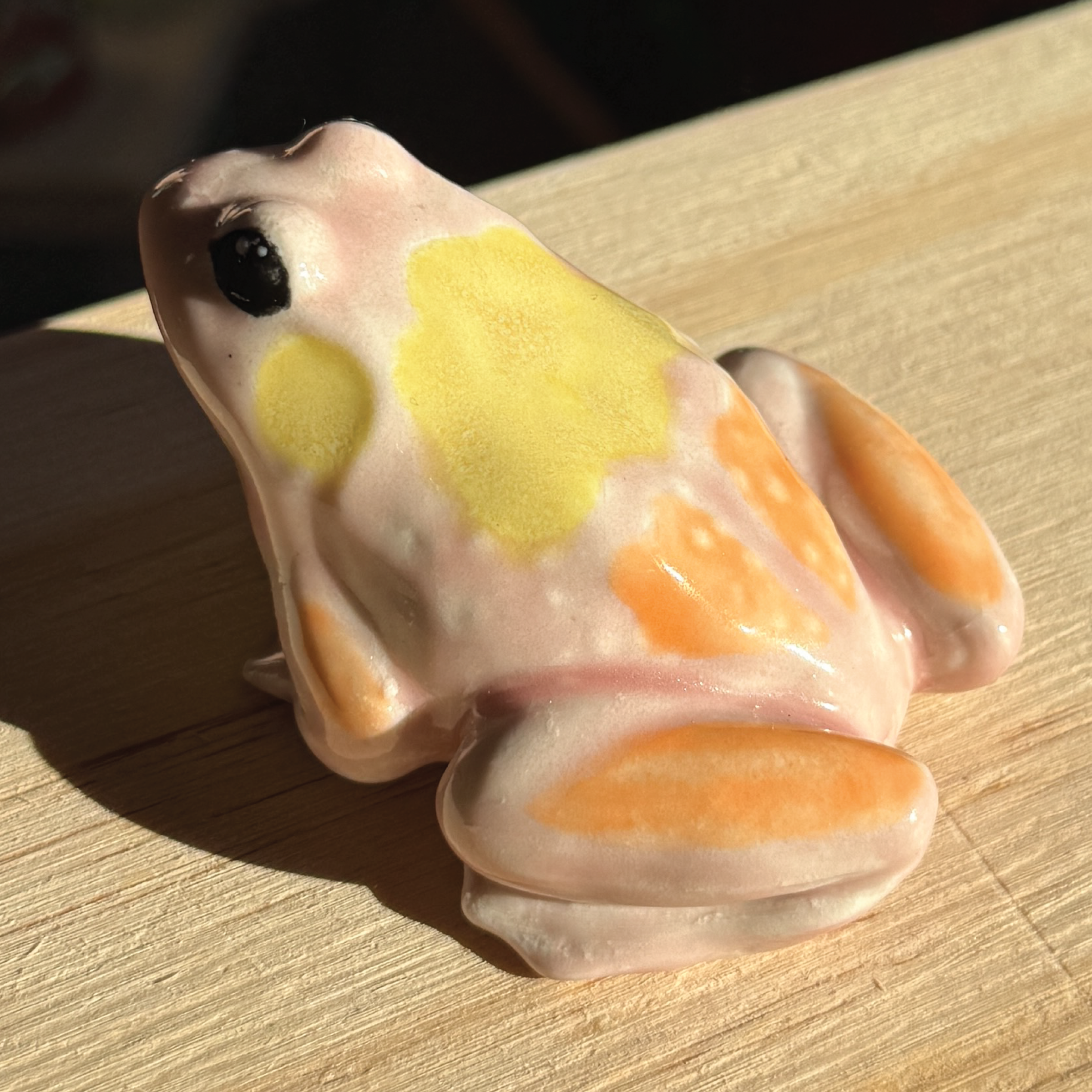 Frog Sale Drop Feb 26_Maya.png