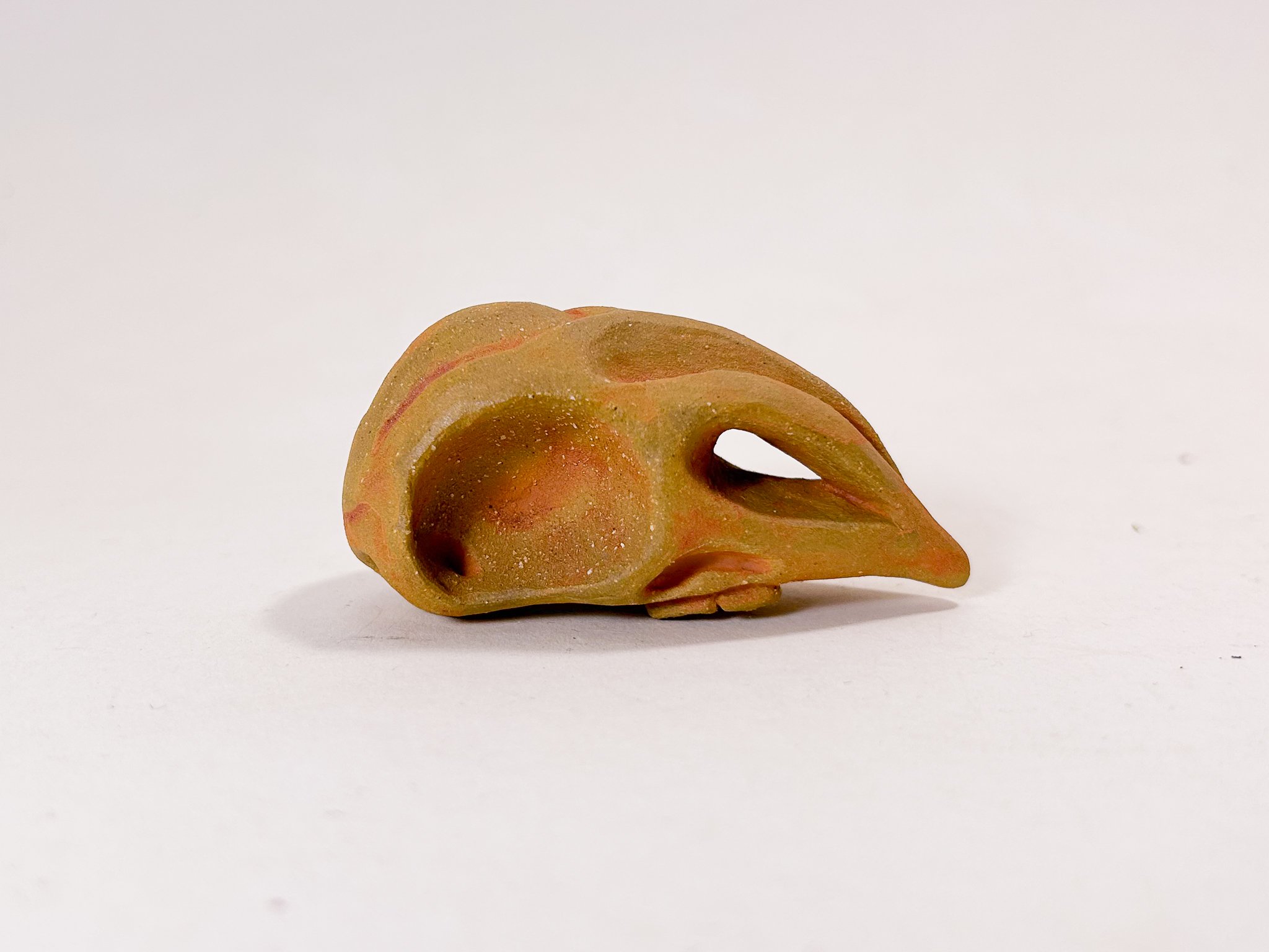 1 Skull Sculpture B-13.jpg