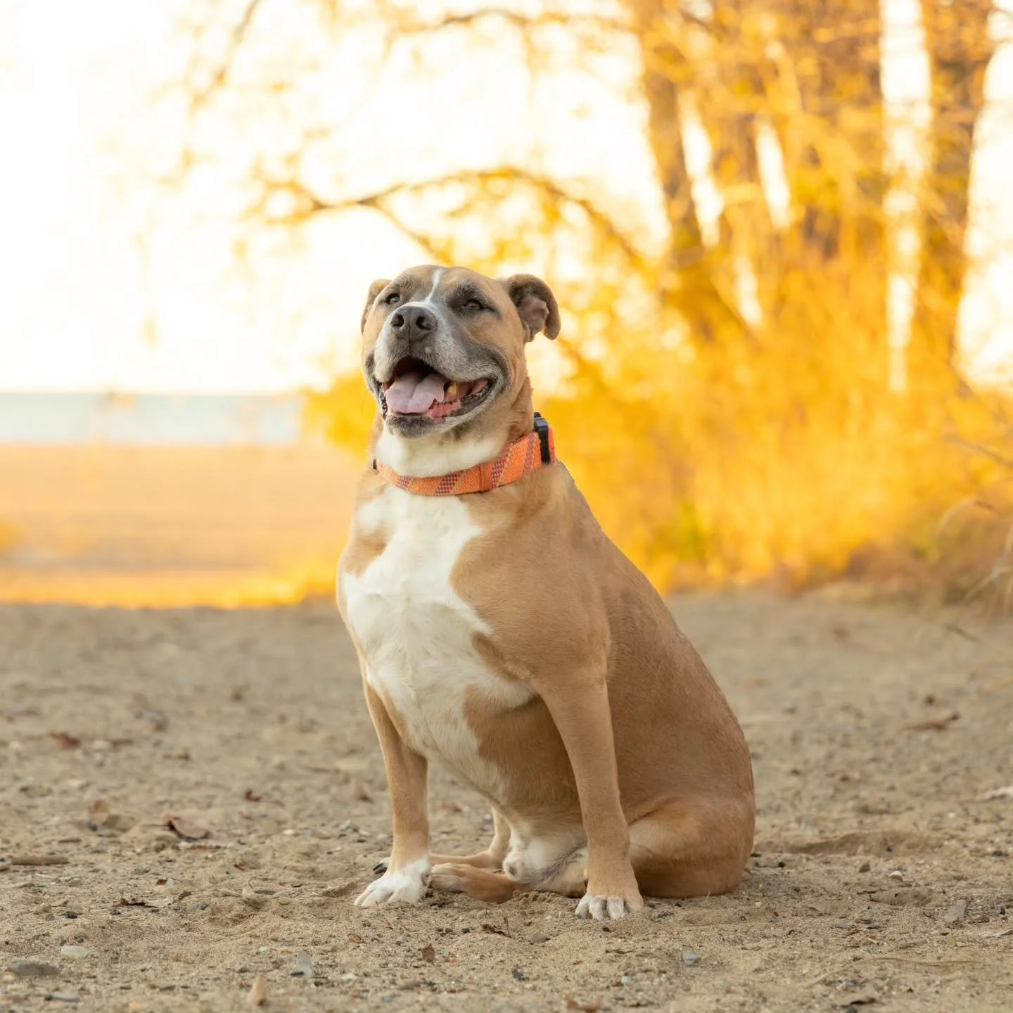 This was such a beautiful shoot at Mentor Headlands!! thank you @wittle.red_  for letting me take your family photos! This was so much fun!!
.
.
#jakemarkko #jakemarkkophotography #photographer #familyphotos