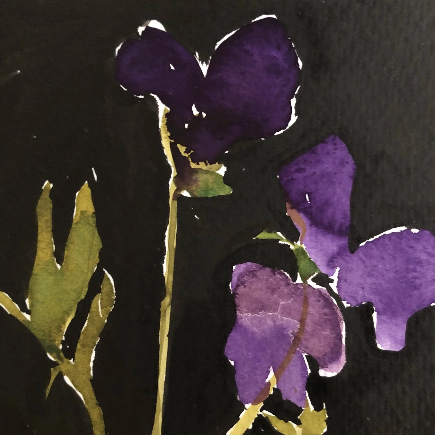 image11.jpeg