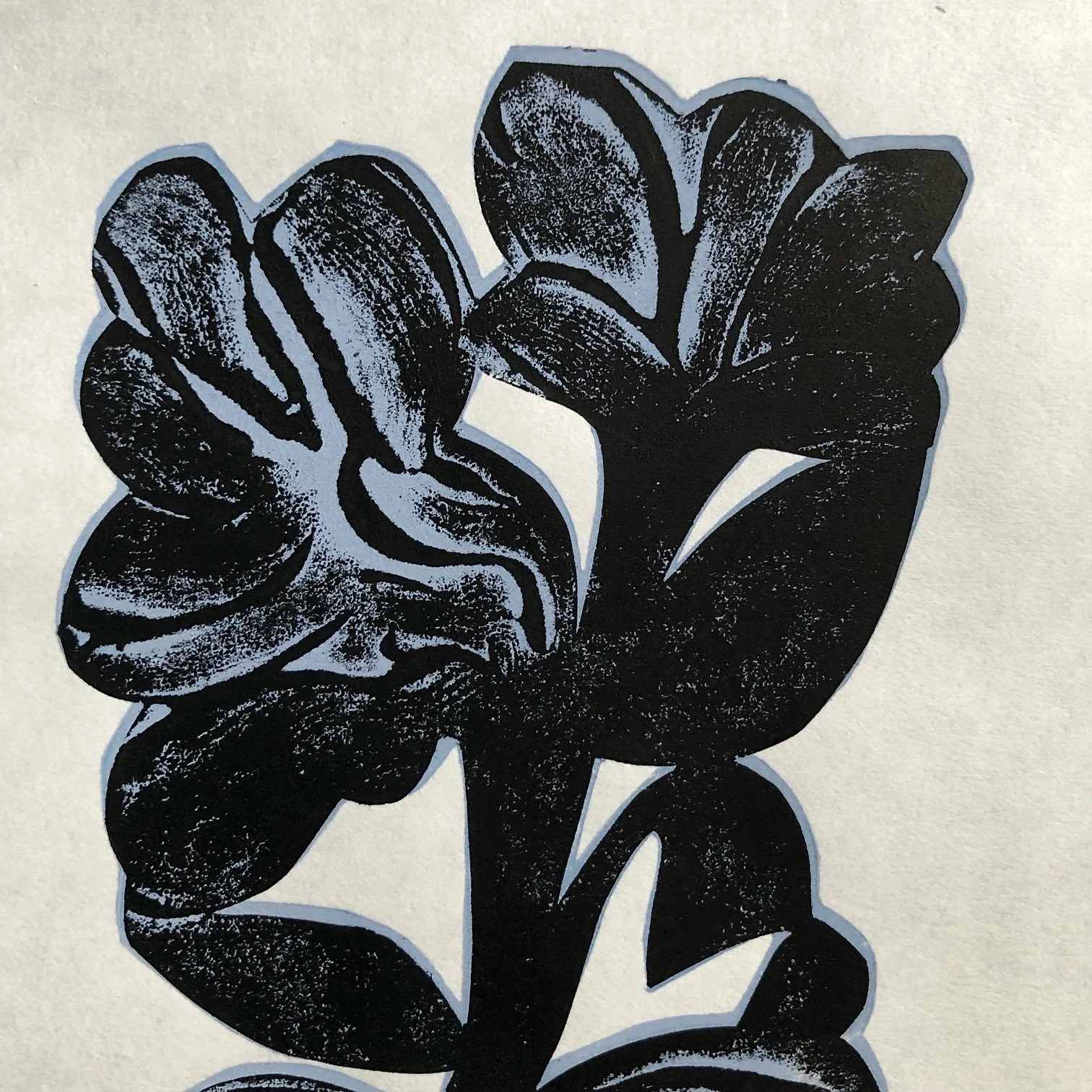 image4.jpeg