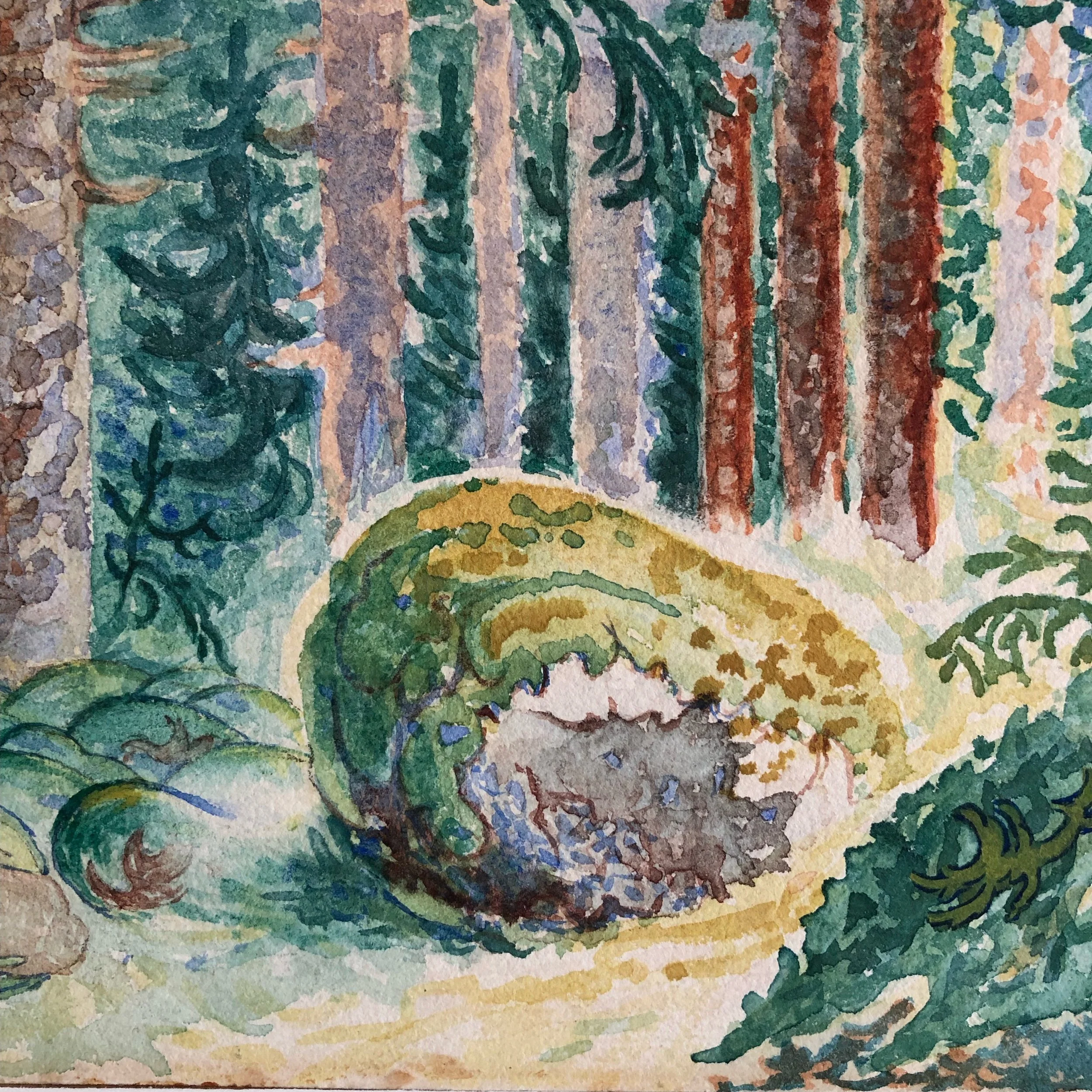 image1.jpeg