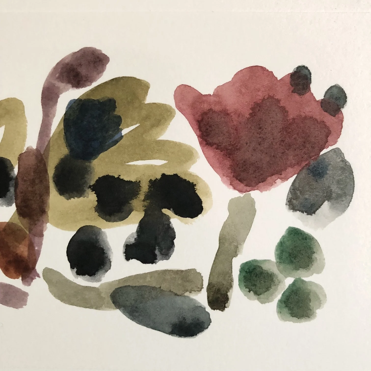 image12.jpeg