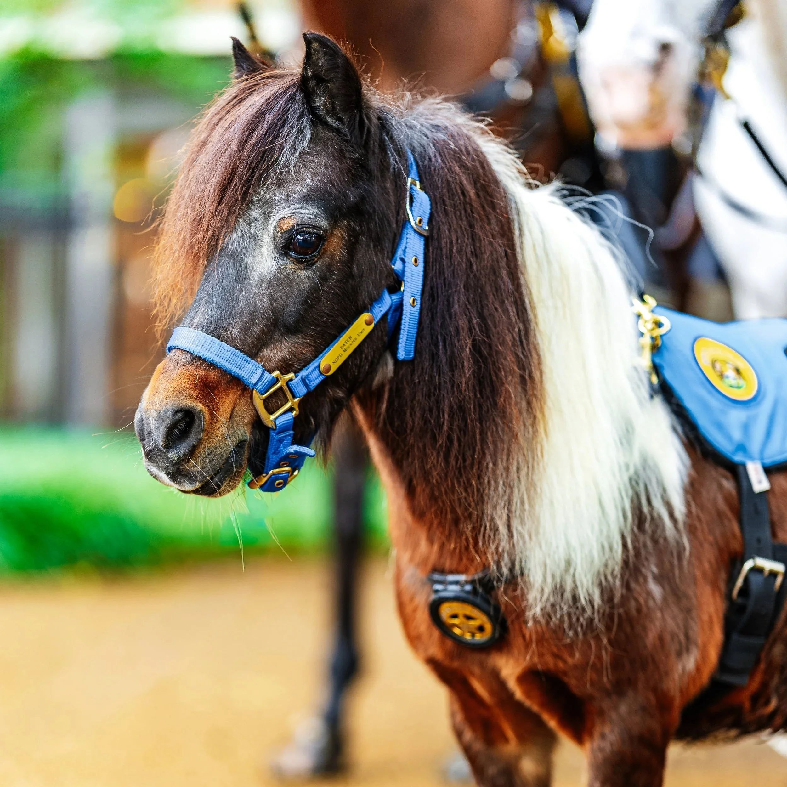 New Orleans Police Department