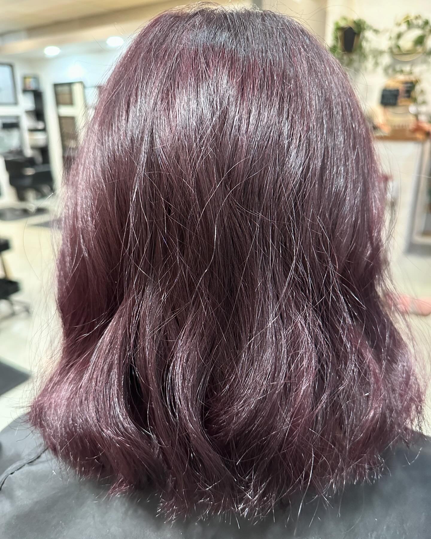 Plum base with a little pink face framing pop for this lovely girl. We adore when this fierce family of women are in the shop. #chilliwacksalon #chilliwackbc #skppro #skp #schwarzkopfCAN #schwarzkopfprofessional #schwarzkopfcanada #schwarzkopfpro #mo