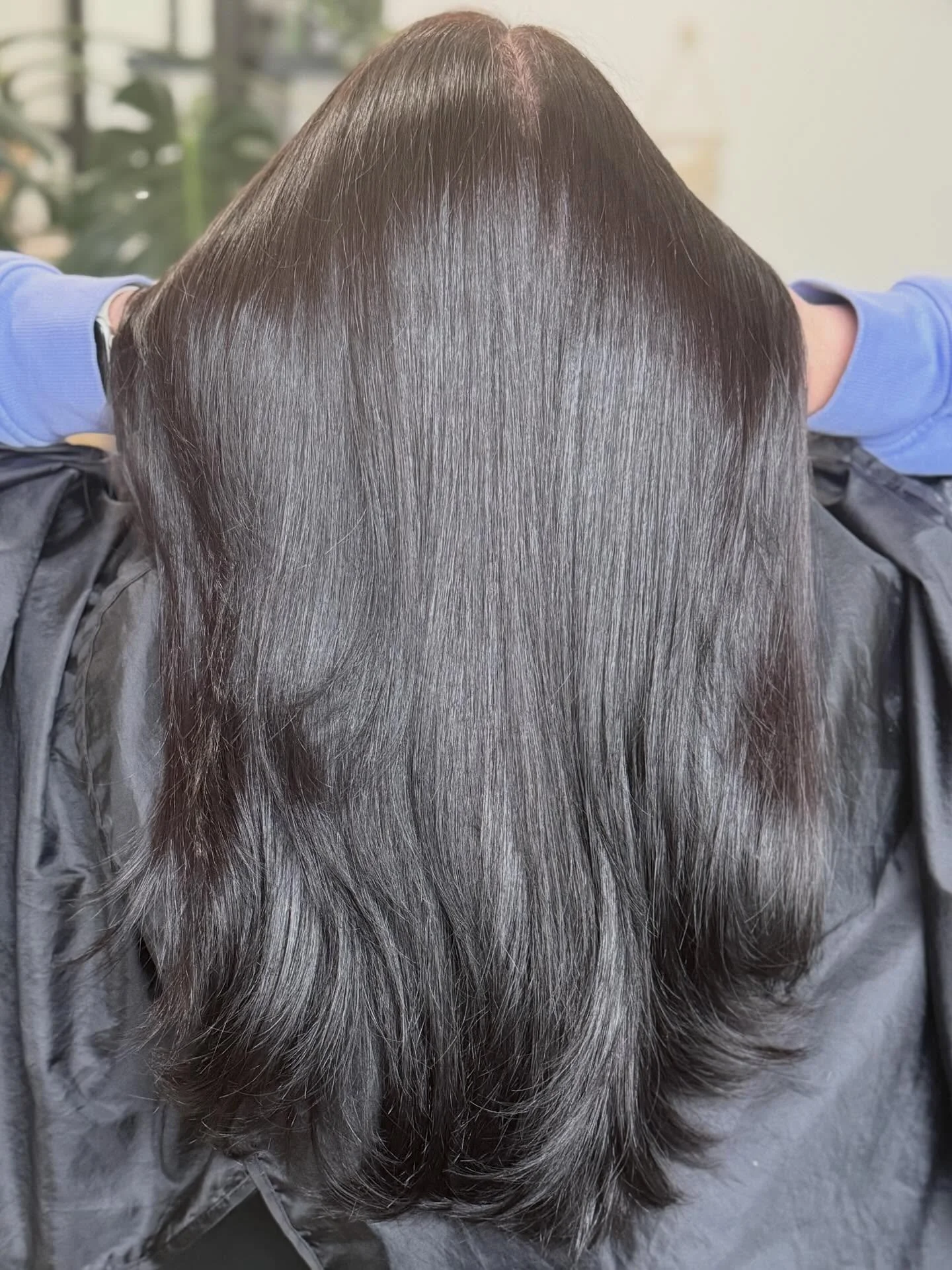 Merlot is the name dreaming is the game. The photo really doesn&rsquo;t reflect the shade that we were seeing with our eyes but man oh man this shine is blinding. 

@schwarzkopfcan to colour.

@orbhairco to create.

@bobbypinsandroses hands to craft.