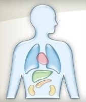 News Story: UNC Health Team Reduces Disparities for Kidney Transplant Patients