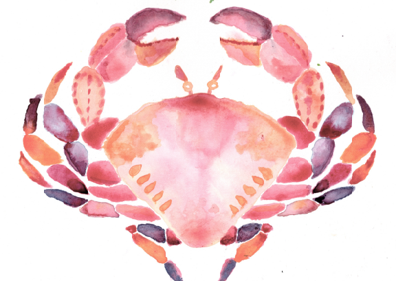 Watercolor painting of a crab with pink, purple, and orange hues, facing forward.