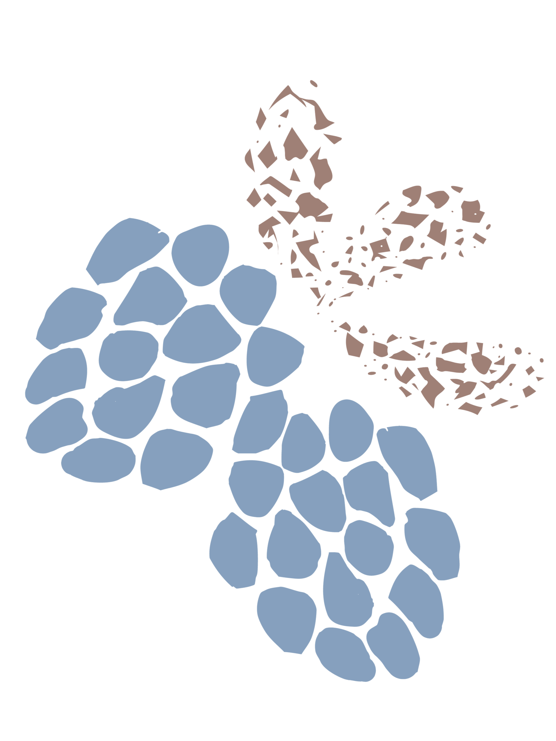 Illustration of berries with blue orbs and sketchy leaves in brown