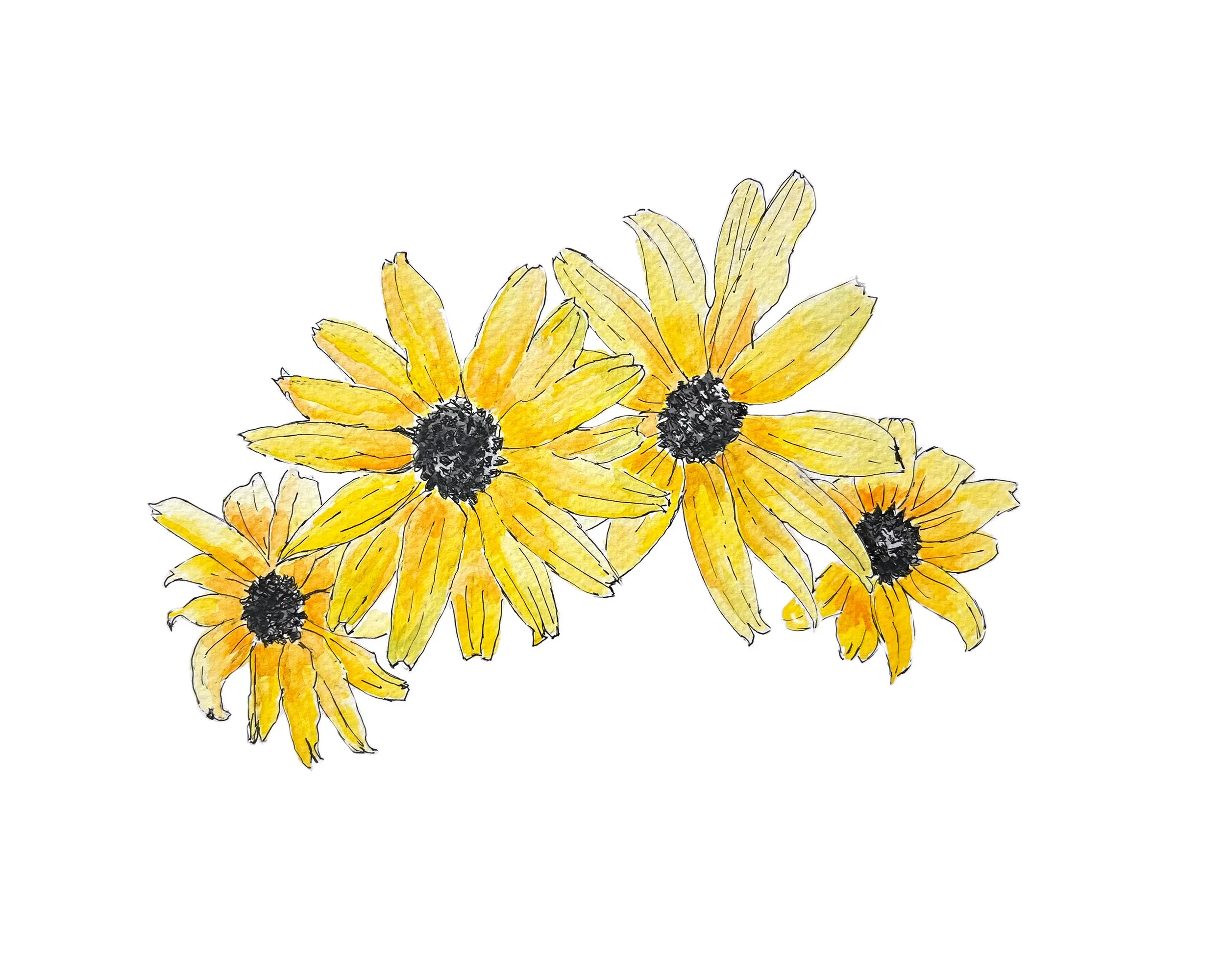 Card - Yellow Daisy MN039