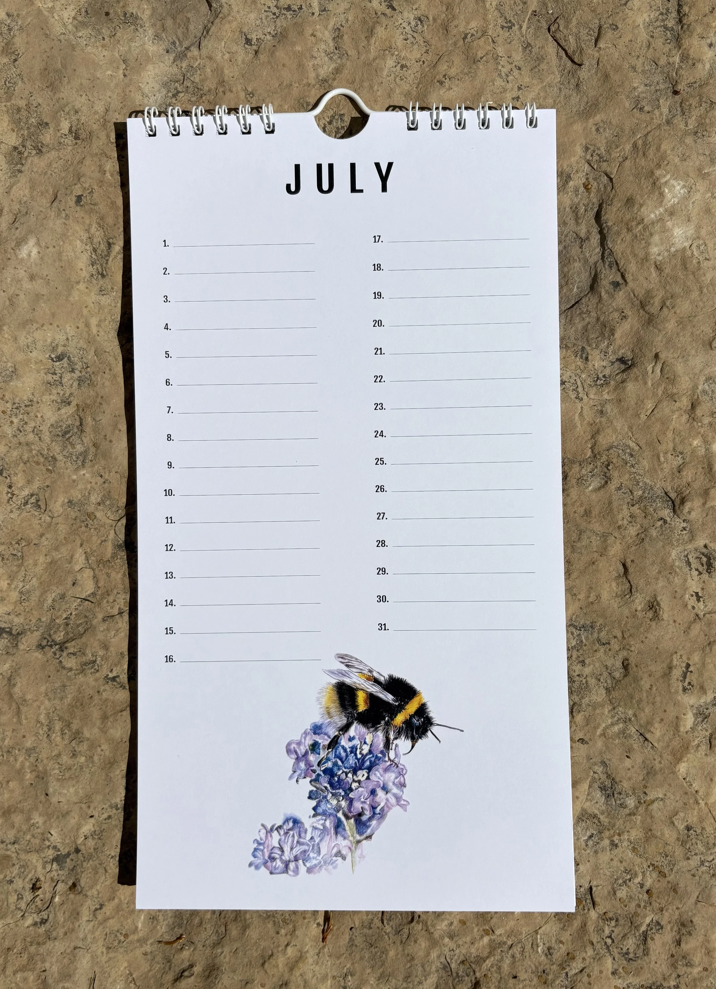 7 July.jpeg