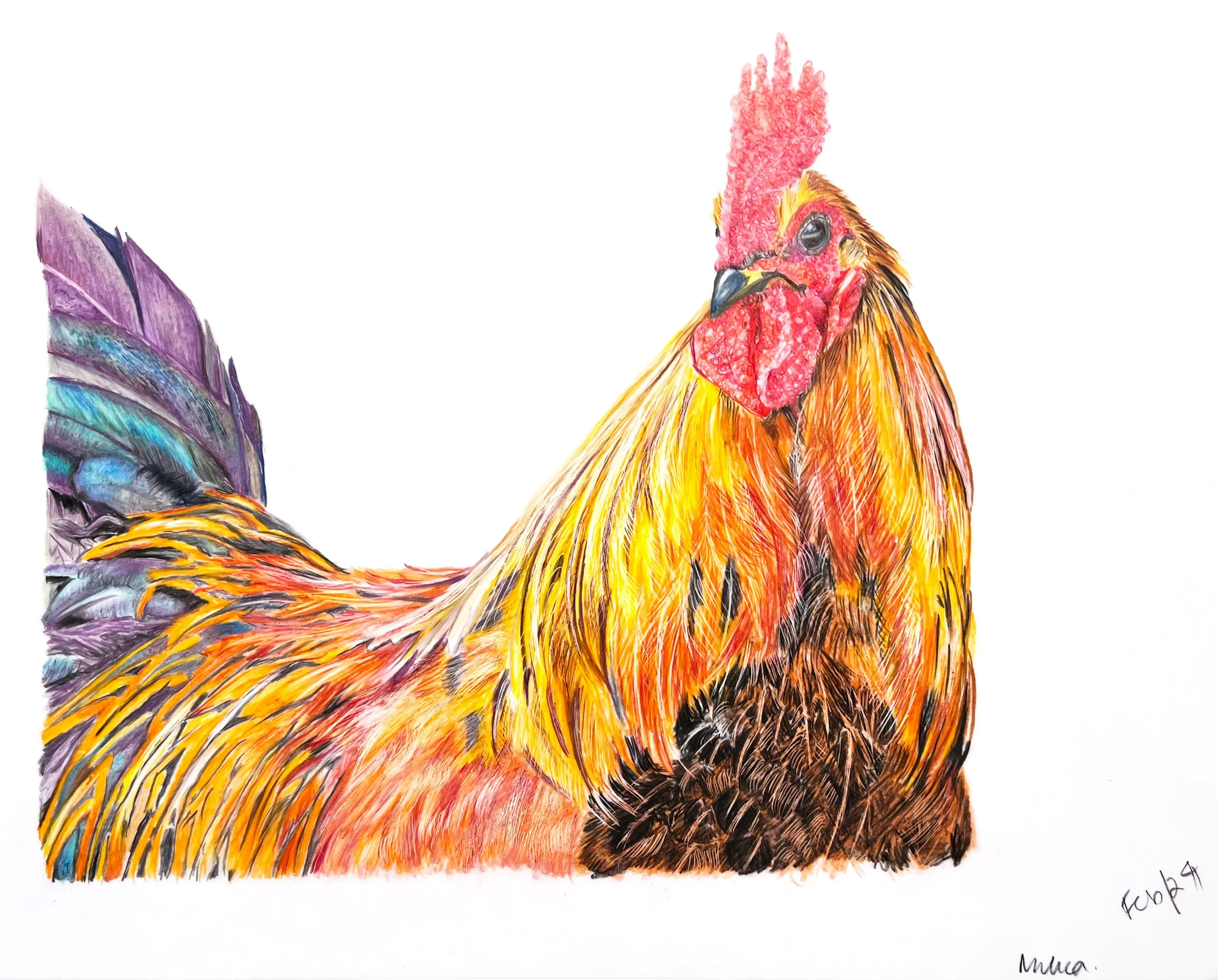Card - Rooster MN034