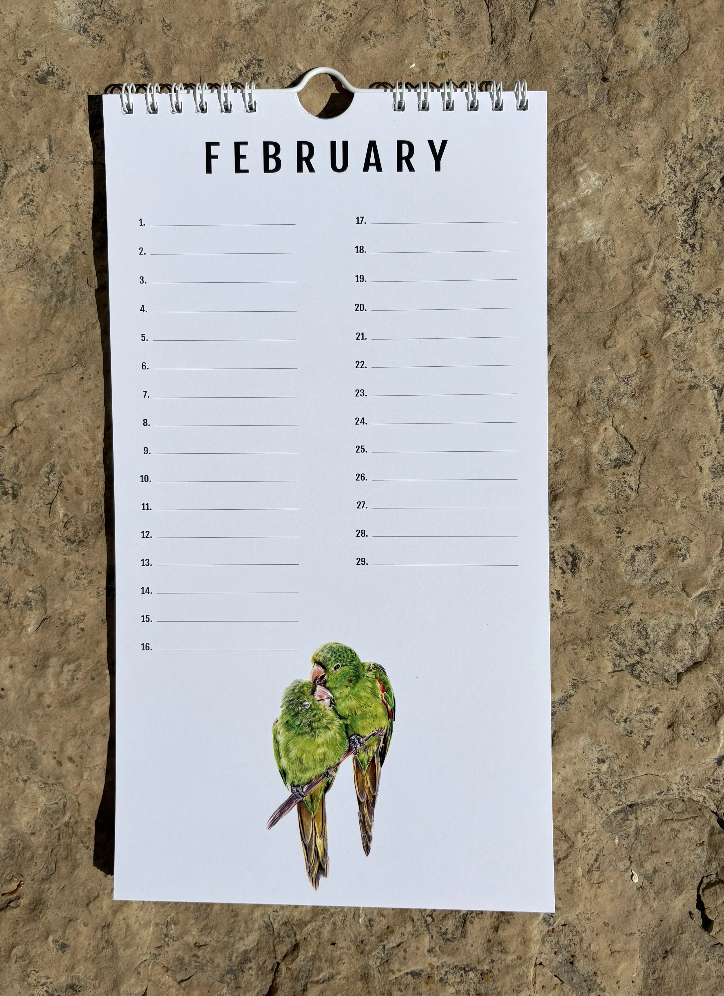 2 February.jpeg