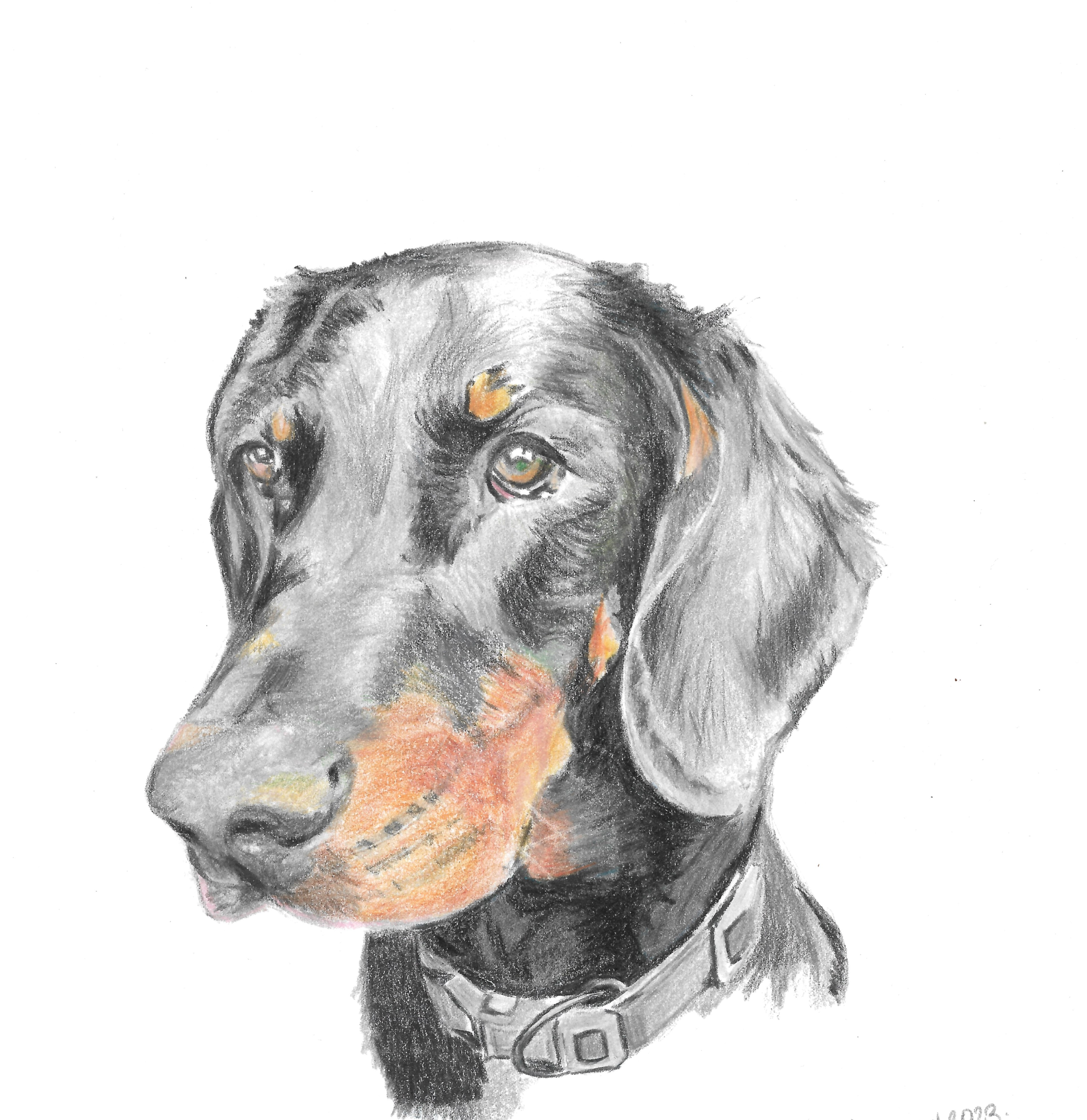 Ricky the Dog.png