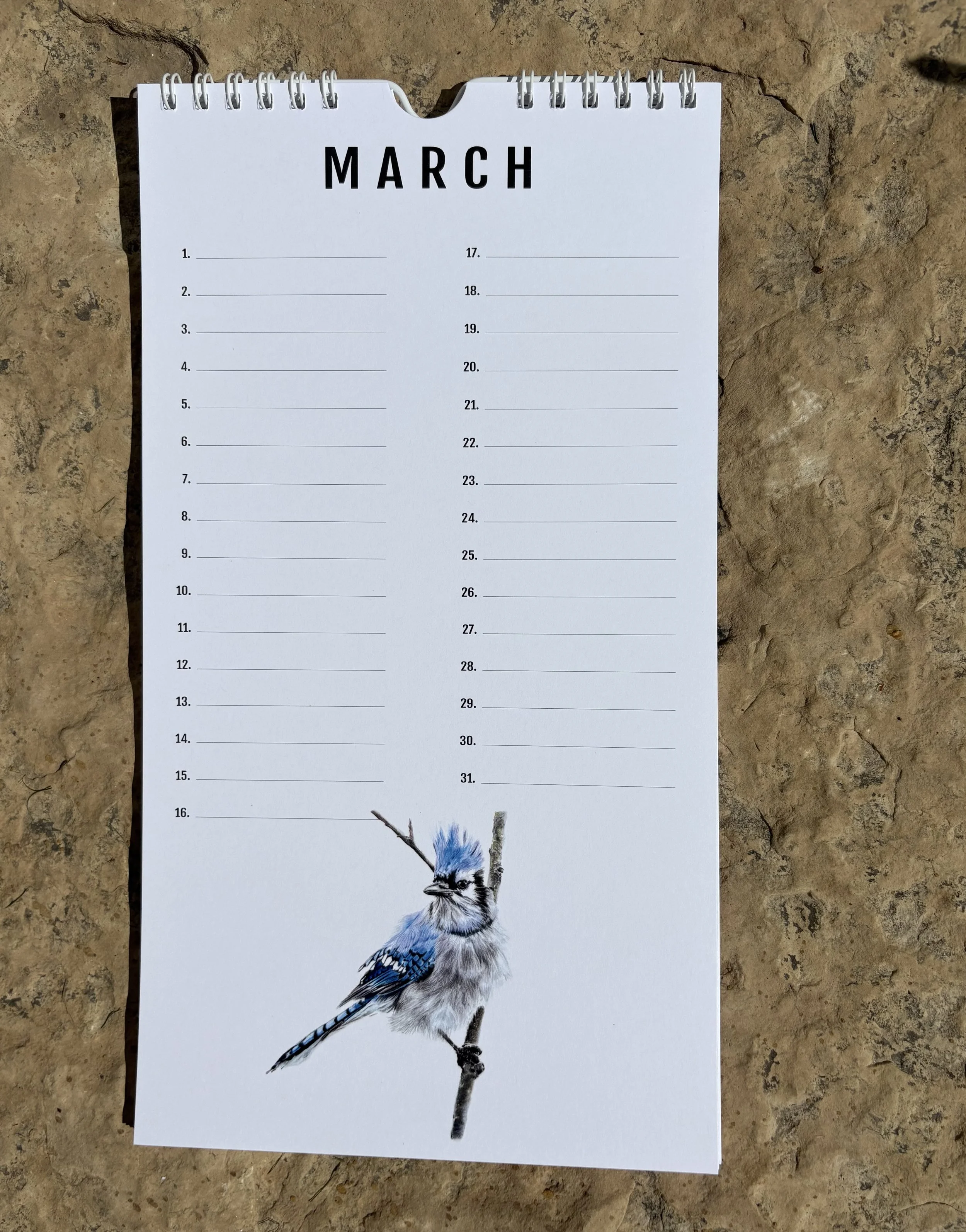 3 March.jpeg