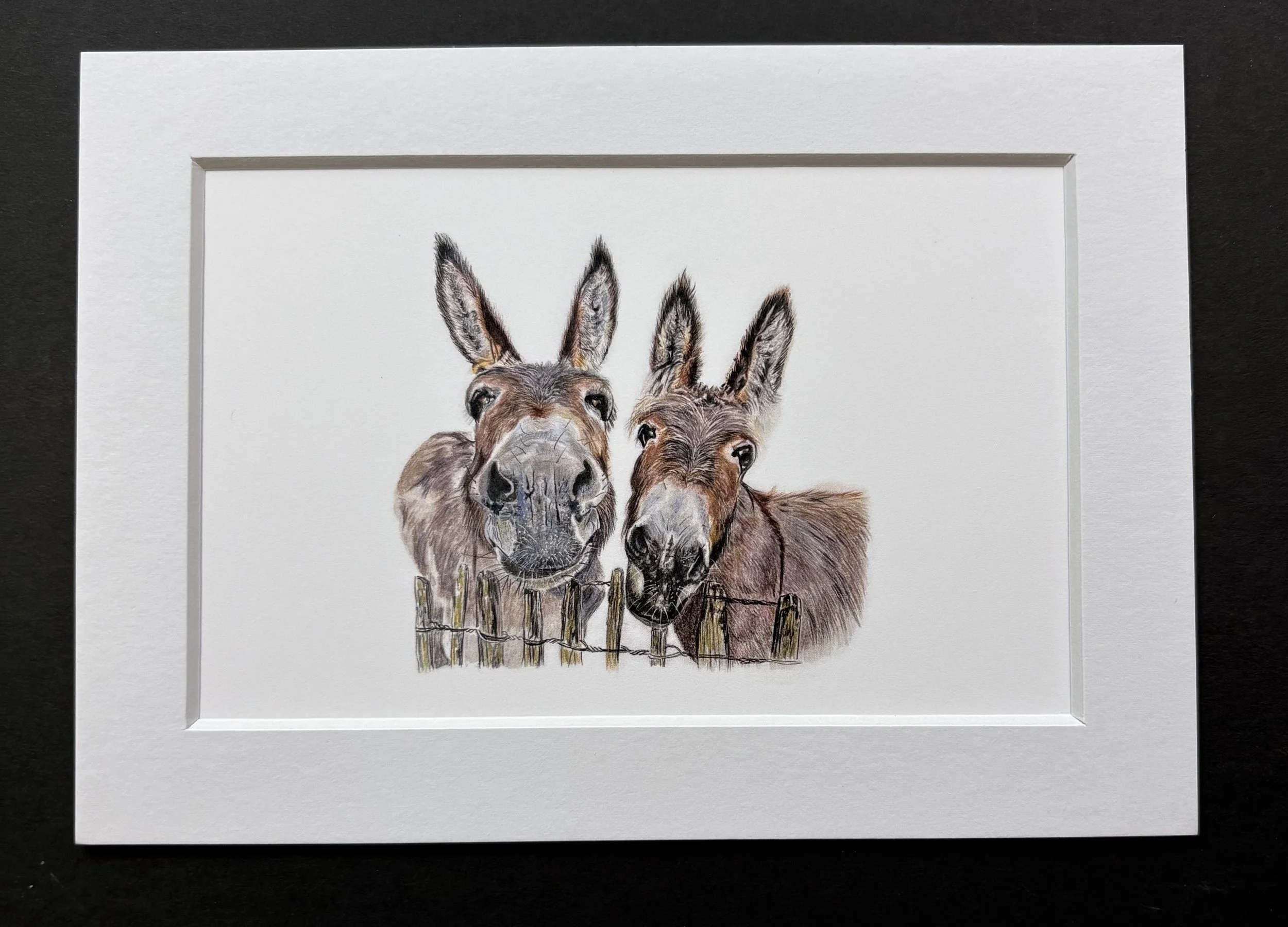MN0125X7 Donkeys