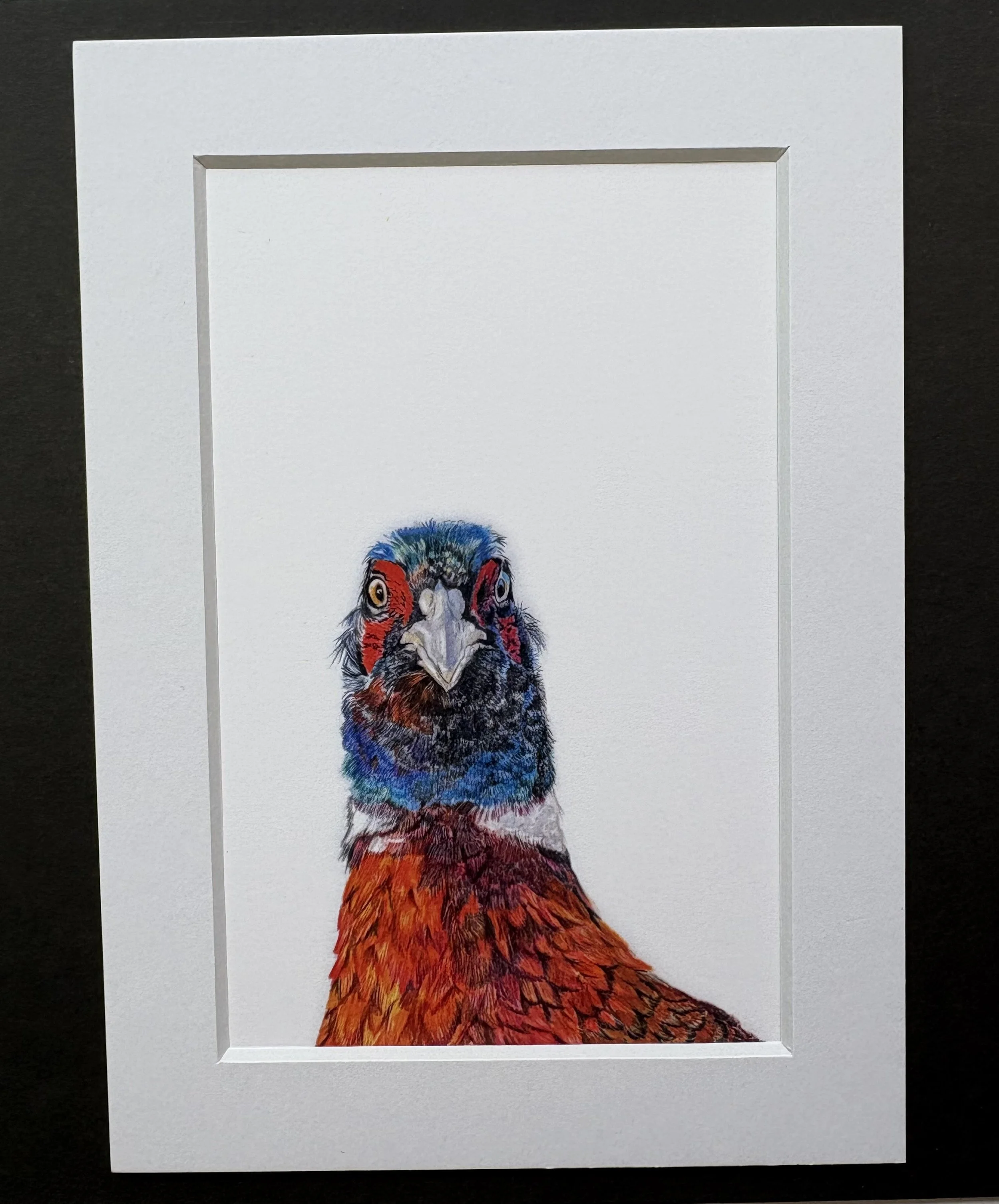 MN0285X7 Pheasant