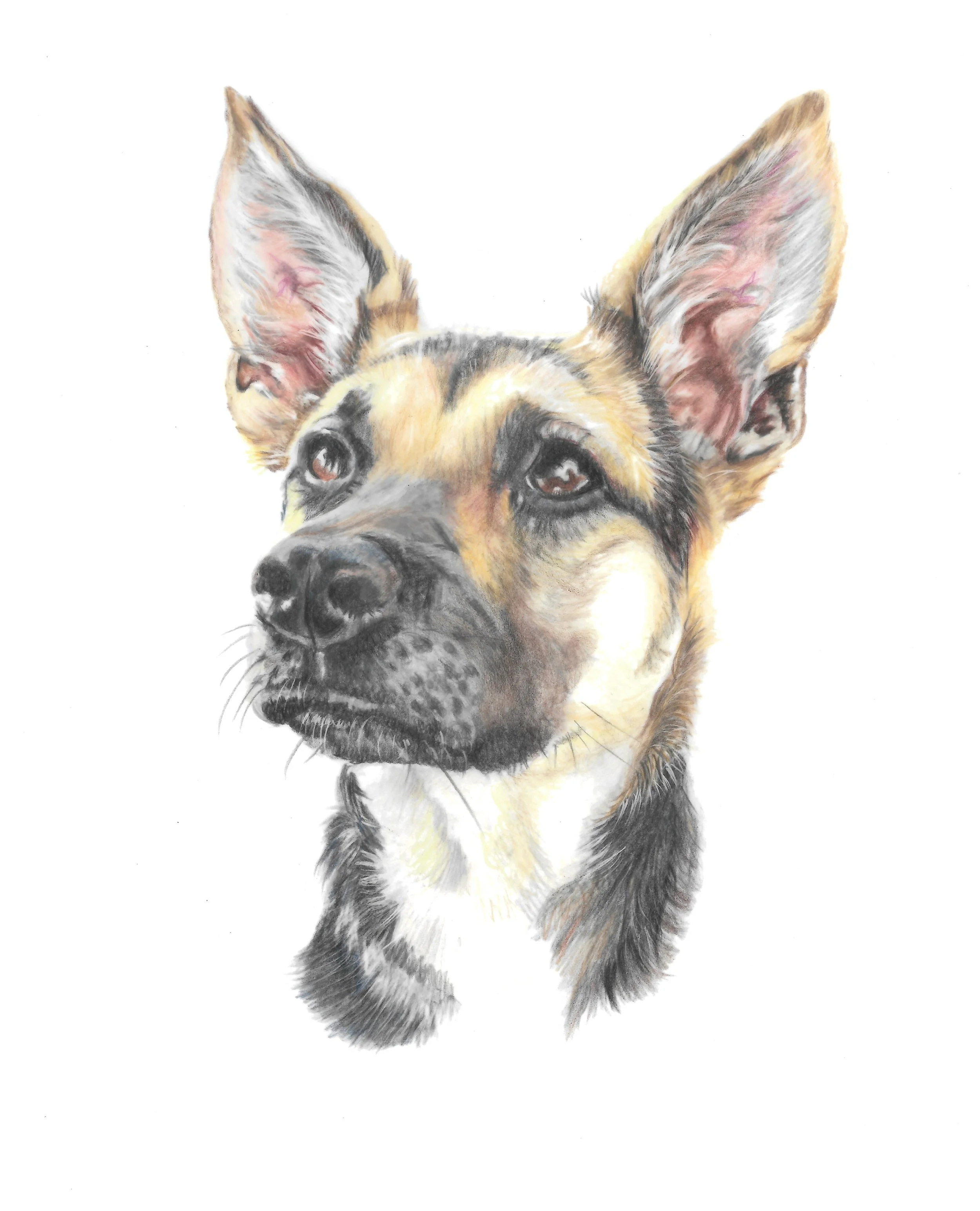 Laurie Portrait.jpg