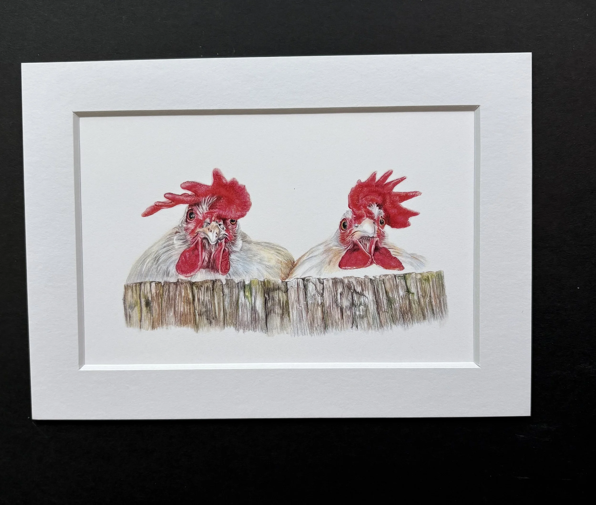 MN0495X7 Hens