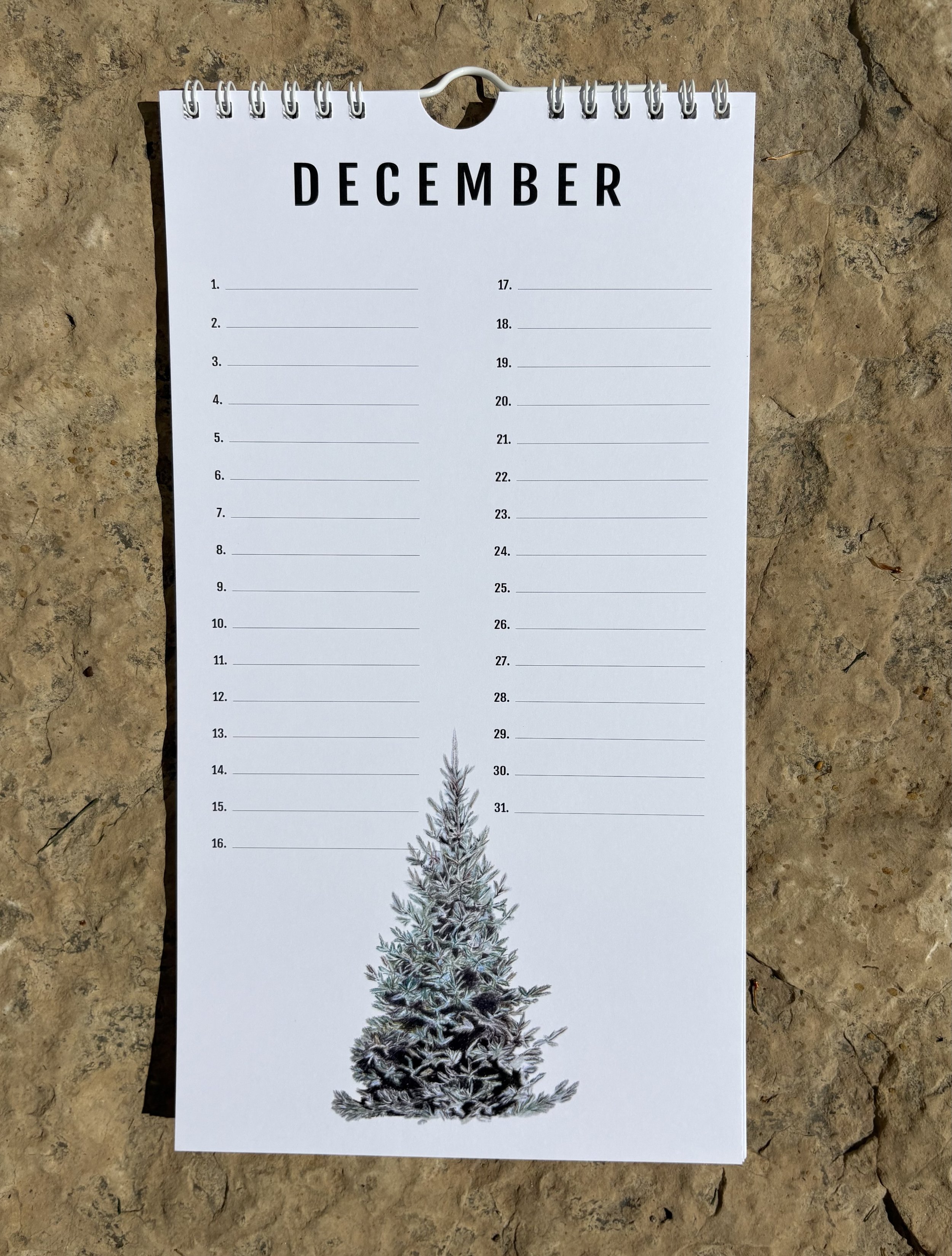 12 December.jpeg