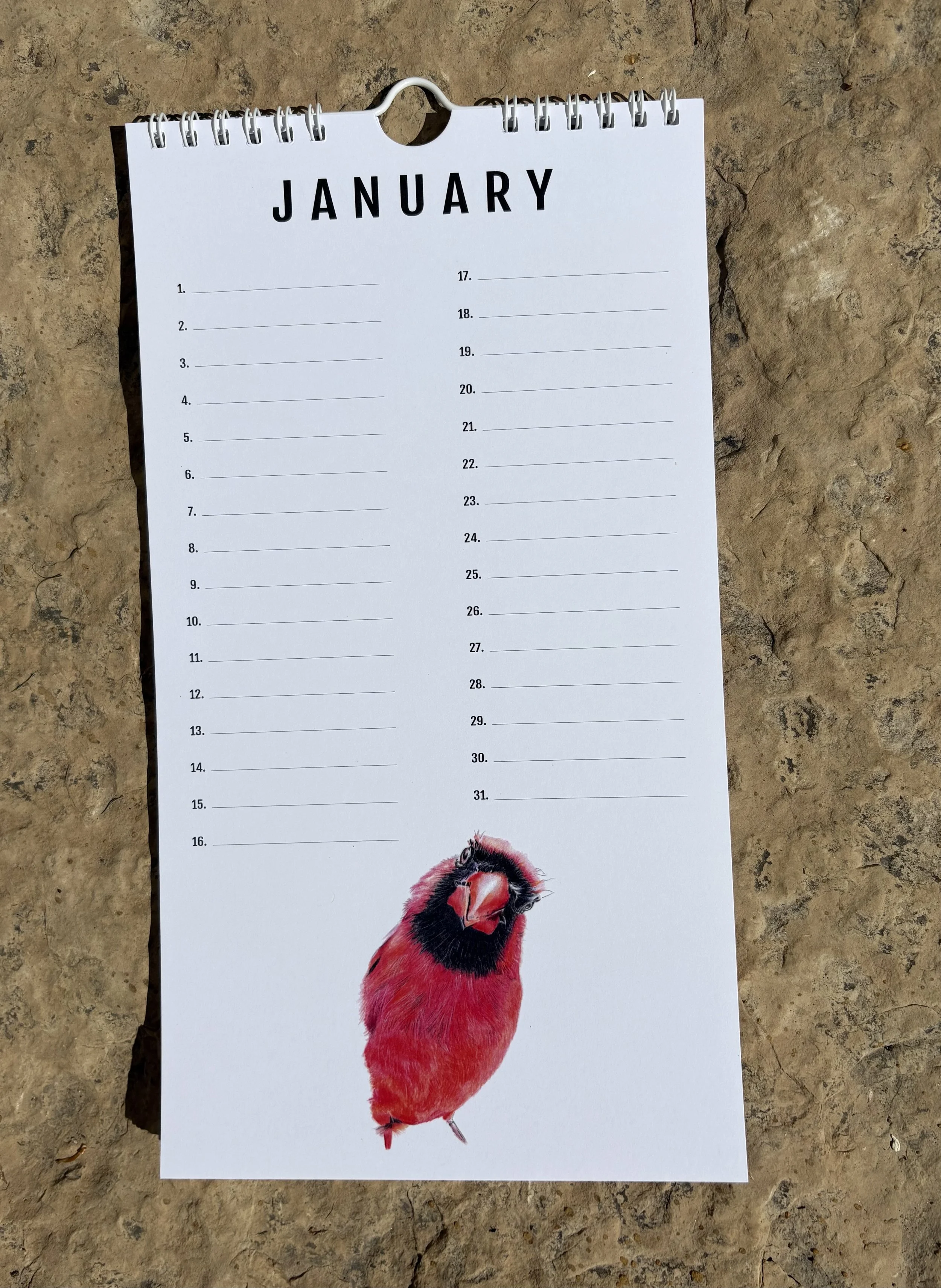 1 January.jpeg