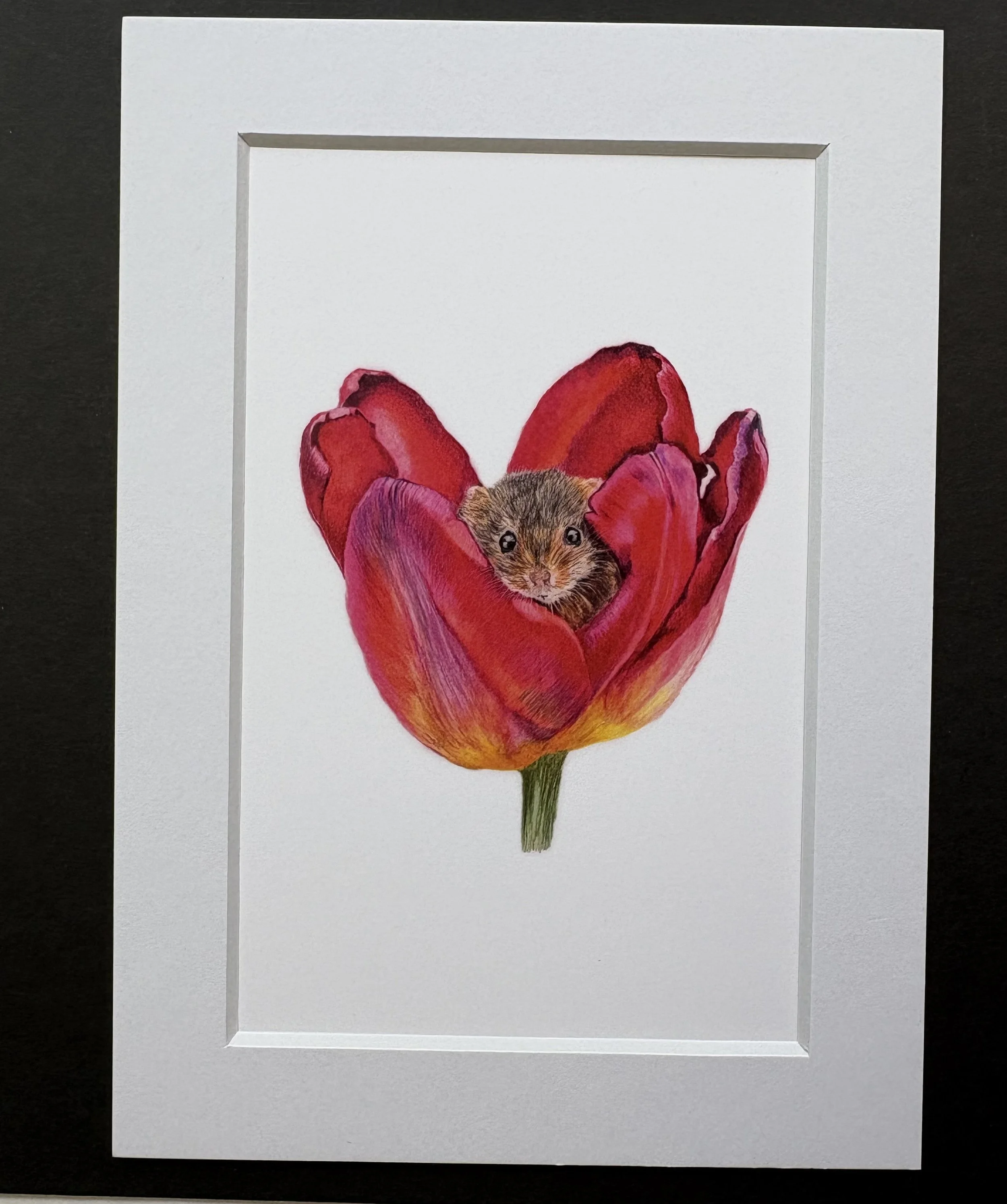 MN0465X7 Tulip Mouse
