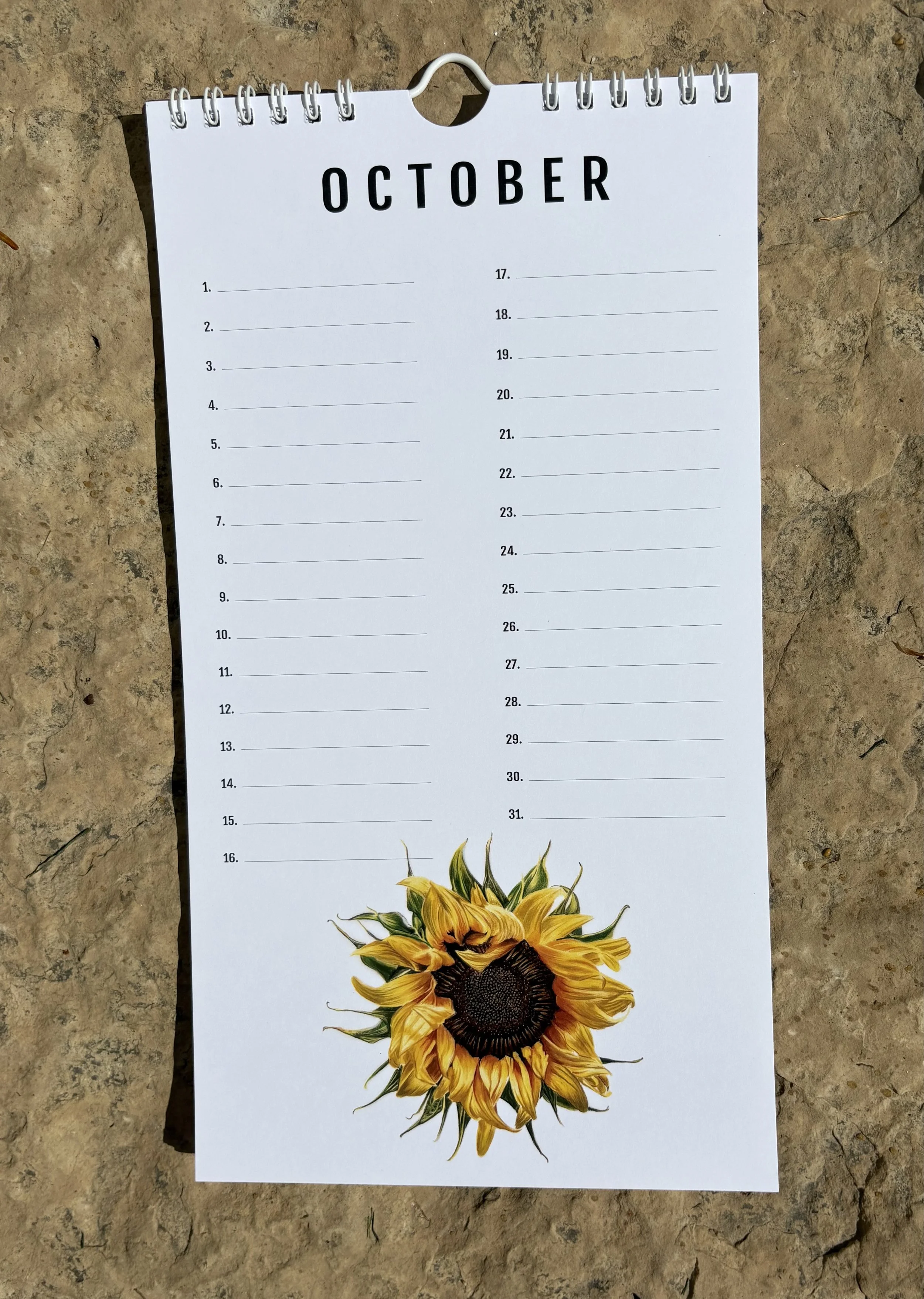 10 October.jpeg