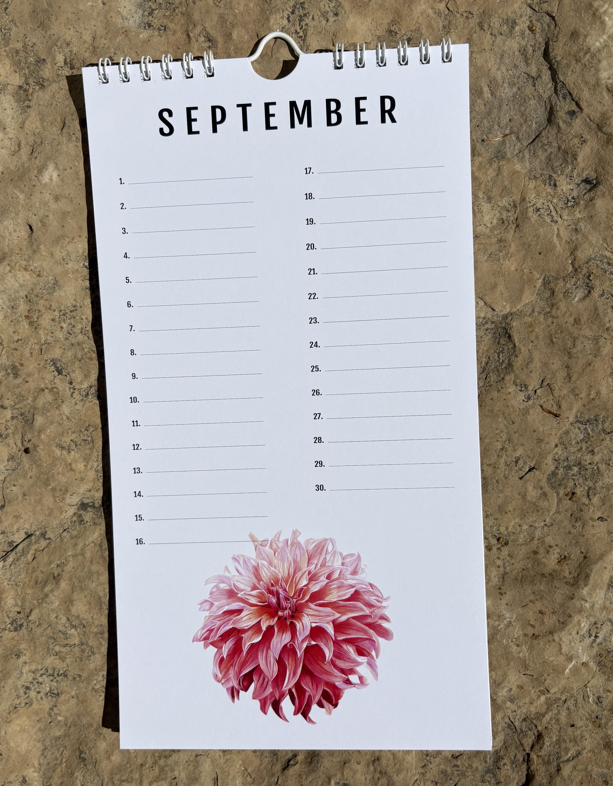 9 September.jpeg