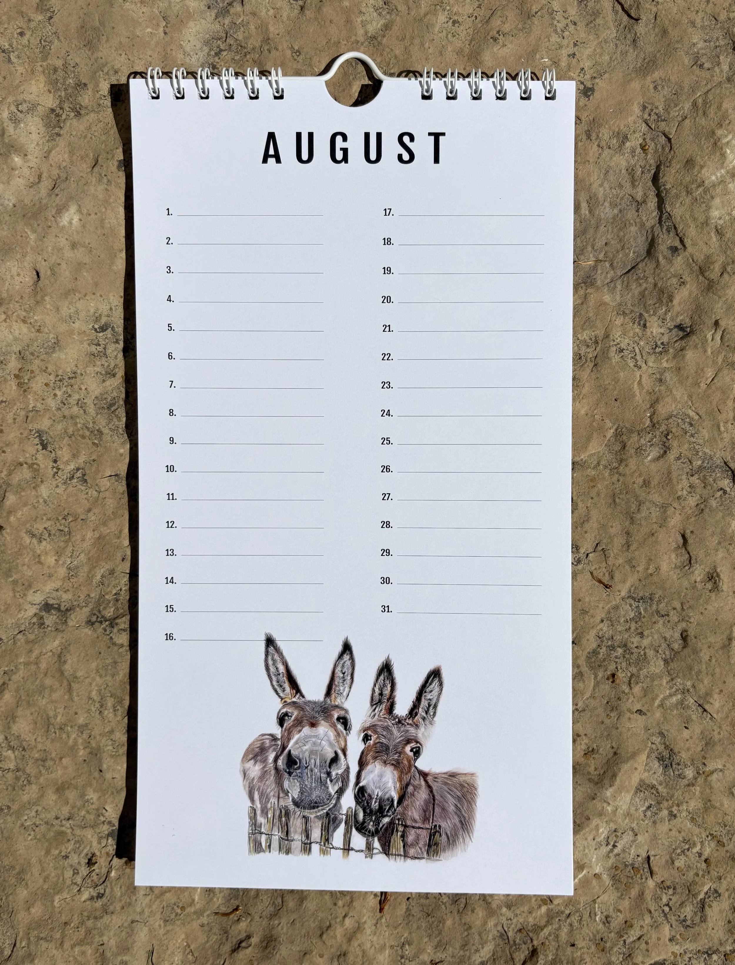 8 August.jpeg