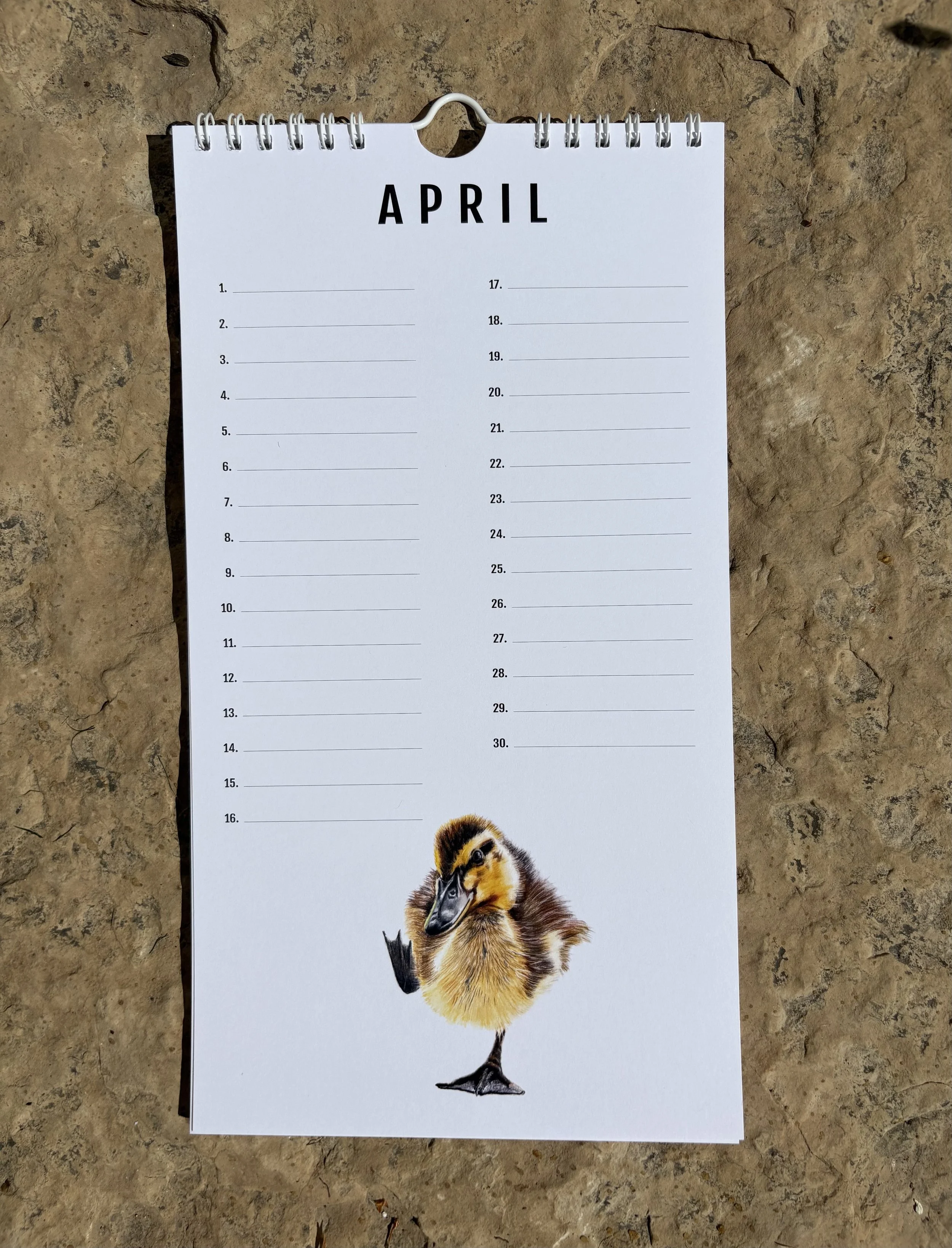 4 April.jpeg