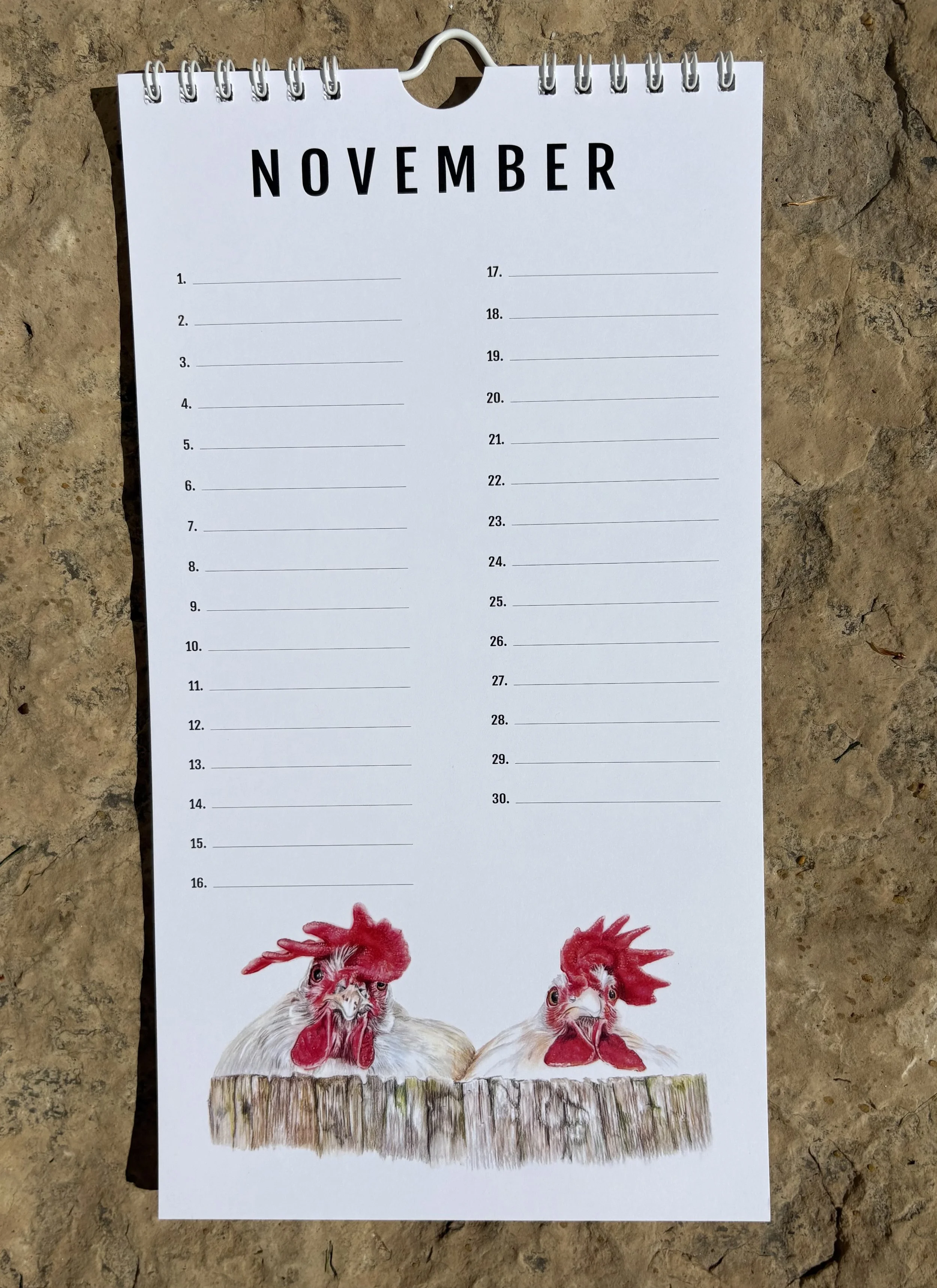 11 November.jpeg