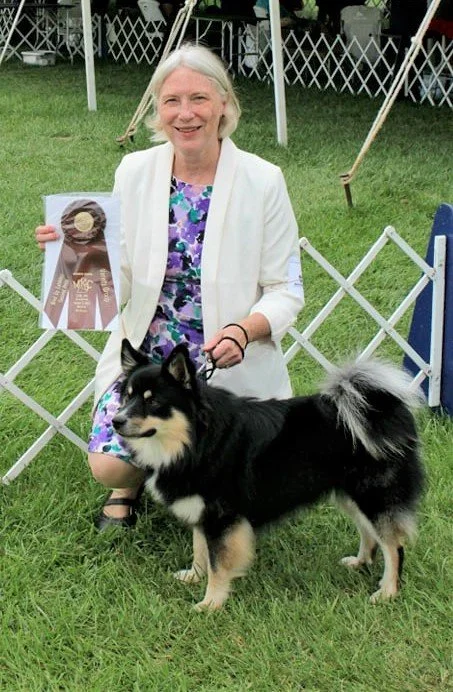 Marcus with Bred by exhibitor herding group 2 ribbon.jpg