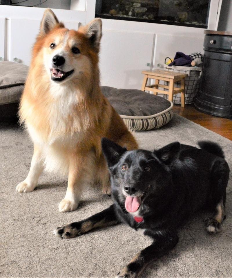 Oliver and Elva March 18, 2021