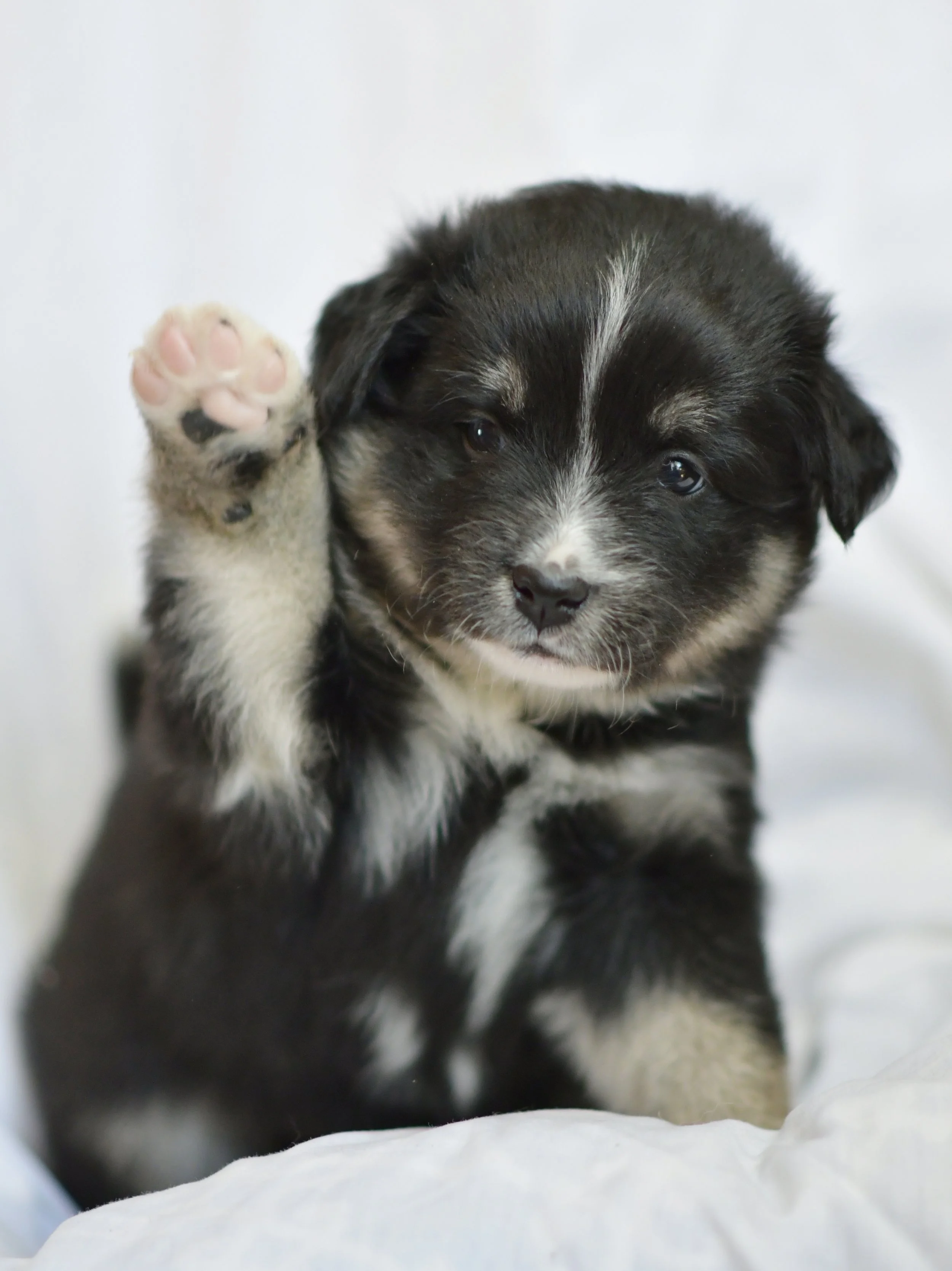 Marcus Waves 4 Weeks.JPG