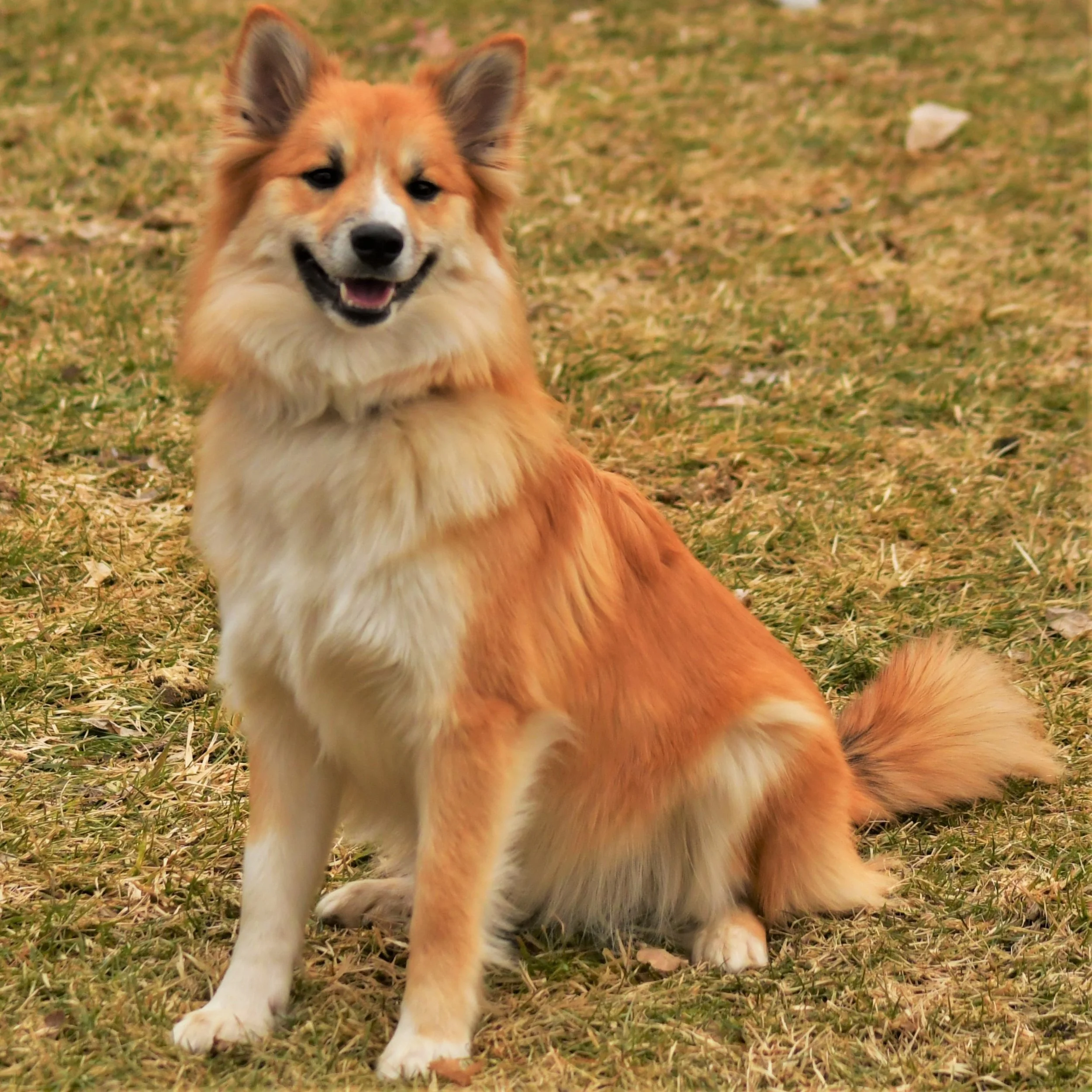 Nora turns one year old.JPG