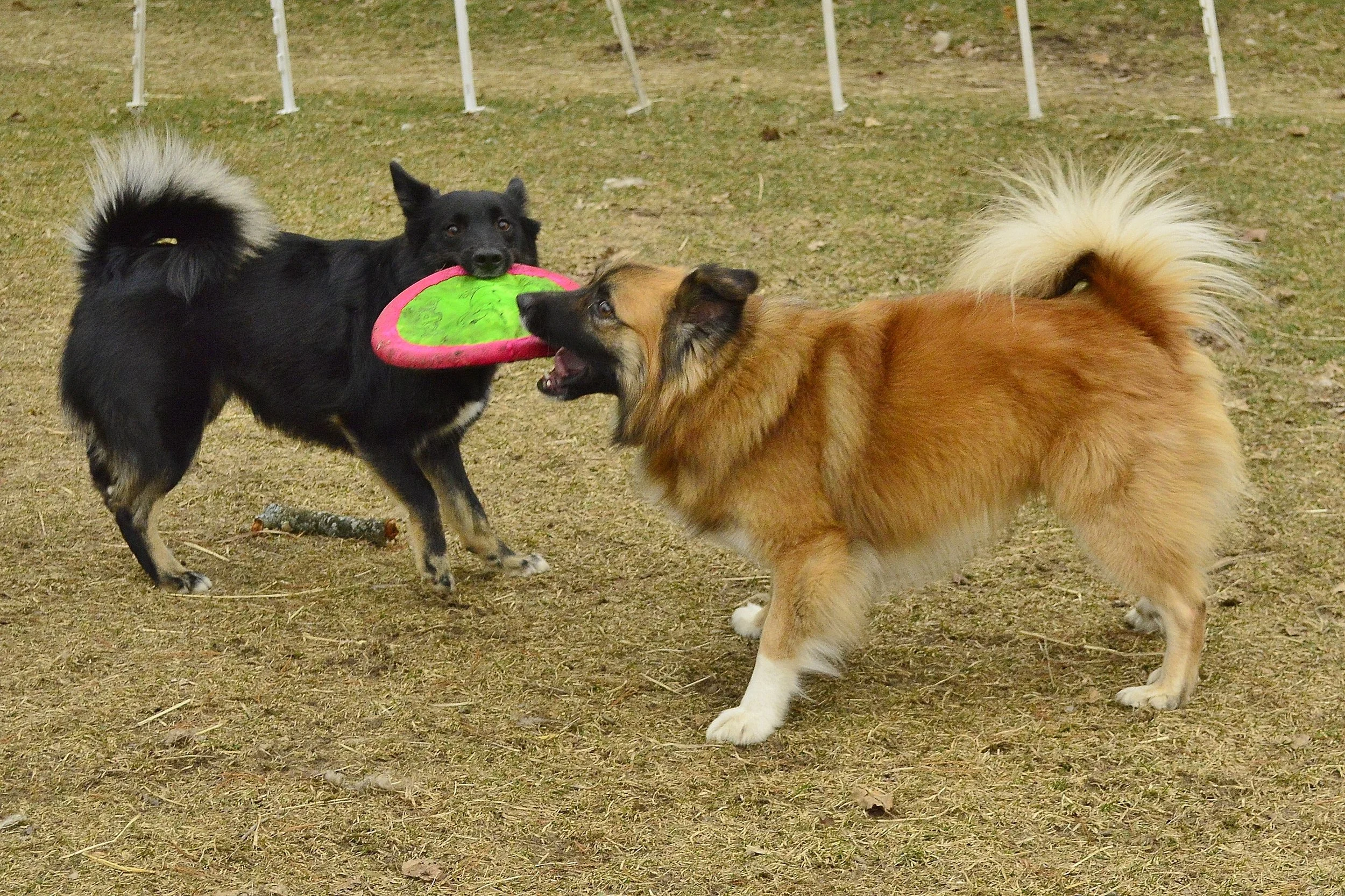 Elva and Calvin April 10, 2017