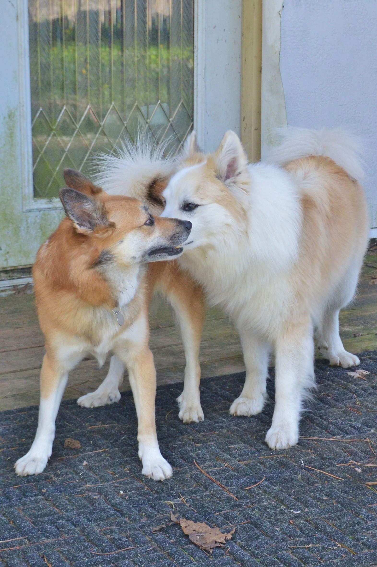 Enja and Tobbi July 18, 2019