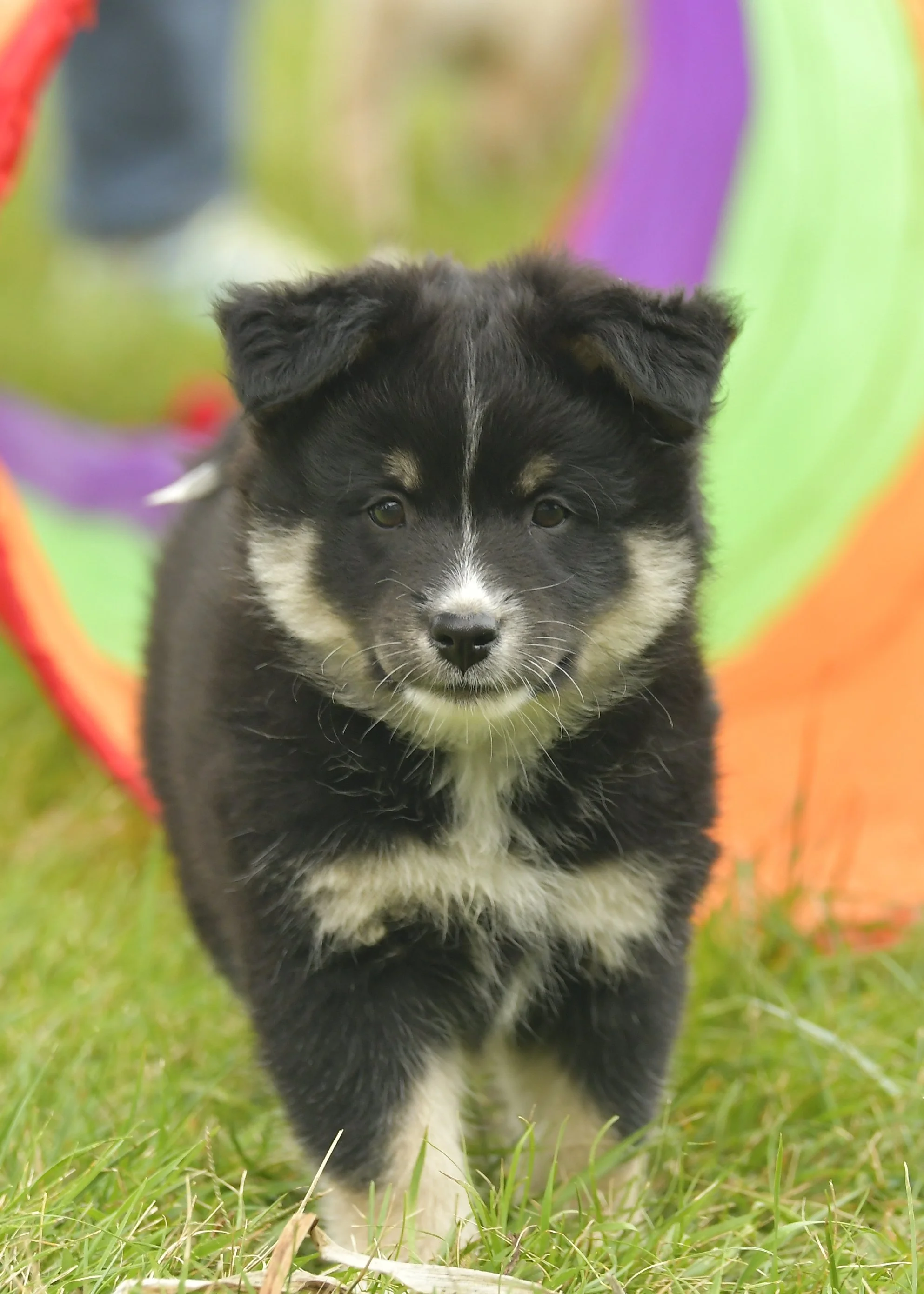 Marcus tunnel 7 eeks.JPG