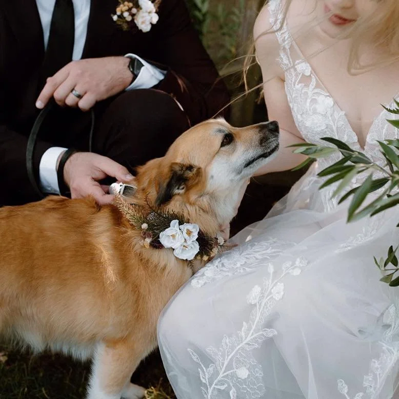 Enja in wedding.jpg