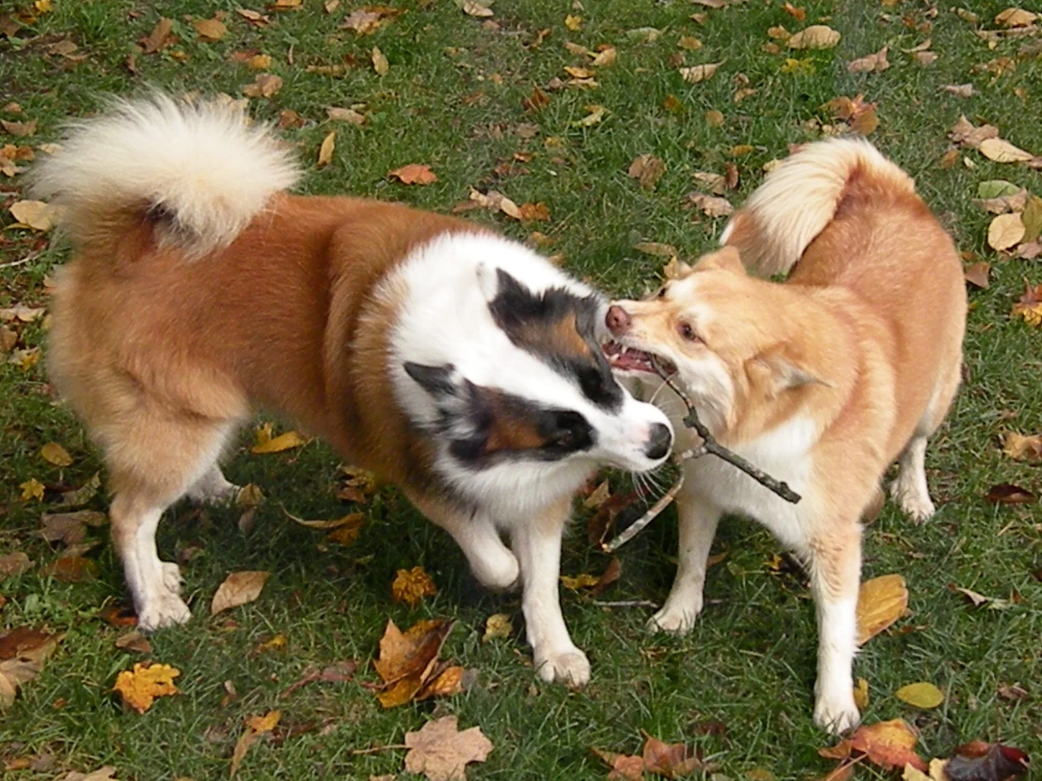 Laki and Vera May 25, 2014